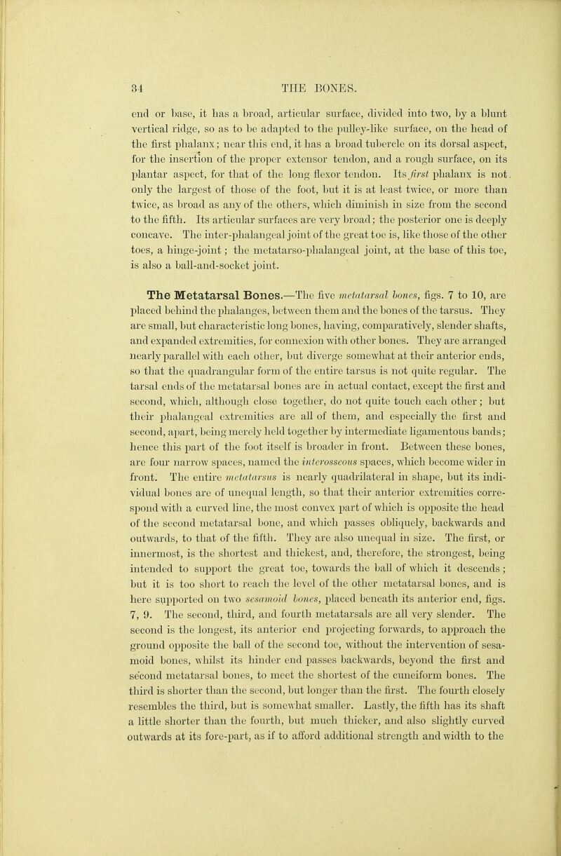 end or base, it has a broad, articular surface, divided into two, by a blunt vertical ridge, so as to be adapted to the pulley-like surface, on the head of the first phalanx; near this end, it has a broad tubercle on its dorsal aspect, for the insertion of the proper extensor tendon, and a rough surface, on its plantar aspect, for that of the long flexor tendon, lis first phalanx is not. only the largest of those of the foot, but it is at least twice, or more than twice, as broad as any of the others, which diminish in size from the second to the fifth. Its articular surfaces are very broad; the posterior one is deeply concave. The inter-phalangeal joint of the great toe is, like those of the other toes, a hinge-joint; the metatarso-phalangeal joint, at the base of this toe, is also a ball-and-socket joint. The Metatarsal Bones.—The five metatarsal bones, figs. 7 to 10, are placed behind the phalanges, between them and the bones of the tarsus. They are small, but characteristic long bones, having, comparatively, slender shafts, and expanded extremities, for connexion with other bones. They are arranged nearly parallel with each other, but diverge somewhat at their anterior ends, so that the quadrangular form of the entire tarsus is not quite regular. The tarsal ends of the metatarsal bones are in actual contact, except the first and second, which, although close together, do not quite touch each other; but their phalangeal extremities are all of them, and especially the first and second, apart, being merely held together by intermediate ligamentous bands; hence this part of the foot itself is broader in front. Between these bones, are four narrow spaces, named the interosseous spaces, which become wider in front. The entire metatarsus is nearly quadrilateral in shape, but its indi- vidual bones are of unequal length, so that their anterior extremities corre- spond with a curved line, the most convex part of which is opposite the head of the second metatarsal bone, and which passes obliquely, backwards and outwards, to that of the fifth. They are also unequal in size. The first, or innermost, is the shortest and thickest, and, therefore, the strongest, being intended to support the great toe, towards the ball of which it descends; but it is too short to reach the level of the other metatarsal bones, and is here supported on two sesamoid bones, placed beneath its anterior end, figs. 7, 9. The second, third, and fourth metatarsals are all very slender. The second is the longest, its anterior end projecting forwards, to approach the ground opposite the ball of the second toe, without the intervention of sesa- moid bones, whilst its hinder end passes backwards, beyond the first and second metatarsal bones, to meet the shortest of the cuneiform bones. The third is shorter than the second, but longer than the first. The fourth closely resembles the third, but is somewhat smaller. Lastly, the fifth has its shaft a little shorter than the fourth, but much thicker, and also slightly curved outwards at its fore-part, as if to afford additional strength and width to the