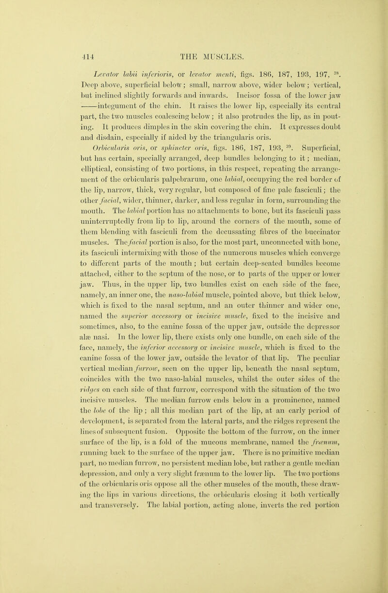 Levator labii inferioris, or levator menti, figs. 186, 187, 193, 197, 38. Deep above, superficial below; small, narrow above, wider below; vertical, but inclined slightly forwards and inwards. Incisor fossa of the lower jaw integument of the chin. It raises the lower lip, especially its central part, the two muscles coalescing below; it also protrudes the lip, as in pout- ing. It produces dimples in the skin covering the chin. It expresses doubt and disdain, especially if aided by the triangularis oris. Orbicularis oris, or sphincter oris, figs. 186, 187, 193, 39. Superficial, but has certain, specially arranged, deep bundles belonging to it; median, elliptical, consisting of two portions, in this respect, repeating the arrange- ment of the orbicularis palpebrarum, one labial, occupying the red border of the lip, narrow, thick, very regular, but composed of fine pale fasciculi; the other facial, wider, thinner, darker, and less regular in form, surrounding the mouth. The labial portion has no attachments to bone, but its fasciculi pass uninterruptedly from lip to lip, around the corners of the mouth, some of them blending with fasciculi from the decussating fibres of the buccinator muscles. The facial portion is also, for the most part, unconnected with bone, its fasciculi intermixing with those of the numerous muscles which converge to different parts of the mouth ; but certain deep-seated bundles become attached, either to the septum of the nose, or to parts of the upper or lower jaw. Thus, in the upper lip, two bundles exist on each side of the face, namely, an inner one, the naso-labial muscle, pointed above, but thick below, which is fixed to the nasal septum, and an outer thinner and wider one, named the superior accessory or incisive muscle, fixed to the incisive and sometimes, also, to the canine fossa of the upper jaw, outside the depressor alae nasi. In the lower lip, there exists only one bundle, on each side of the face, namely, the inferior accessory or incisive muscle, which is fixed to the canine fossa of the lower jaw, outside the levator of that lip. The peculiar vertical median furrow, seen on the upper lip, beneath the nasal septum, coincides with the two naso-labial muscles, whilst the outer sides of the ridges on each side of that furrow, correspond with the situation of the two incisive muscles. The median furrow ends below in a prominence, named the lobe of the lip ; all this median part of the lip, at an early period of development, is separated from the lateral parts, and the ridges represent the lines of subsequent fusion. Opposite the bottom of the furrow, on the inner surface of the lip, is a fold of the mucous membrane, named the frcenwm, running back to the surface of the upper jaw. There is no primitive median part, no median furrow, no persistent median lobe, but rather a gentle median depression, and only a very slight fraenuria to the lower lip. The two portions of the orbicularis oris oppose all the other muscles of the mouth, these draw- ing the lips in various directions, the orbicularis closing it both vertically and transversely. The labial portion, acting alone, inverts the red portion
