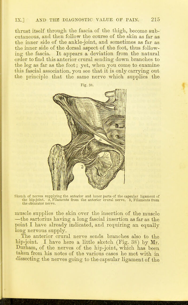 tlinist itself tlirougli the fascia of the thigh, become sub- cutaneous, and then follow the course of the skin as far as the inner side of the ankle-joint, and sometimes as far as the inner side of the dorsal aspect of the foot, thus follow- ing the fascia. It appears a deviation from the natural order to find this anterior crural sending down branches to the leg as far as the foot; yet, when you come to examine this fascial association, you see that it is only carrying out the principle that the same nerve which supplies the Fig. 38. Sketch of nerves supplying the anterior and inner parts of the capsular ligament of the hip-joint, a, Filaments from the anterior crural nerve. 6, Filaments from the obturator nerve. muscle supplies the skin over the insertion of the muscle —the sartorius having a long fascial insertion as far as the point I have already indicated, and requiring an equally long nervous supply. The anterior crural nerve sends branches also to the hip-joint. I have here a little sketch (Fig. 38) by Mr. Durham, of the nerves of the hip-joint, which has been taken from his notes of the various cases he met with in dissecting the nerves going to the capsular ligament of the