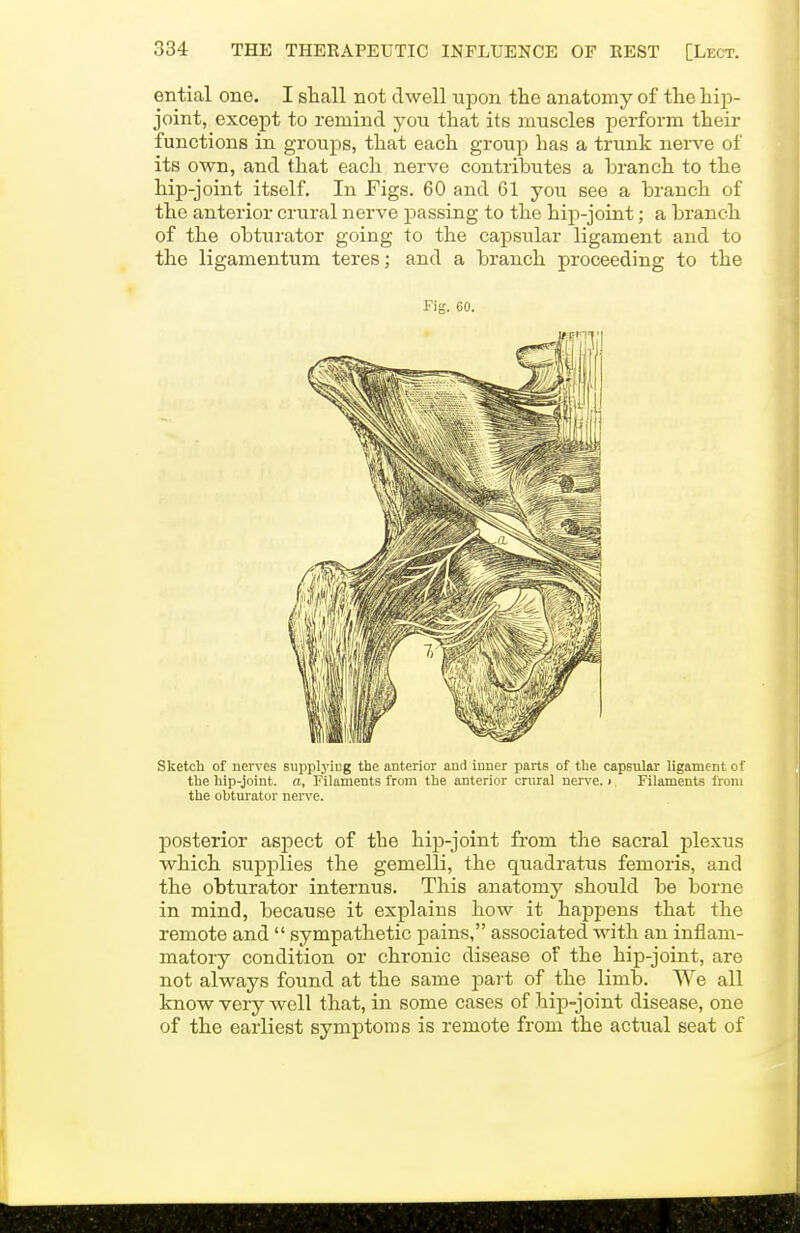 ential one. I shall not dwell npon the anatomy of the hij)- joint, except to remind yon that its inuscles perform their functions in groups, that each group has a trunk nerve of its own, and that each nerve contributes a branch to the hip-joint itself. In Eigs. 60 and 61 you see a branch of the anterior crural nerve passing to the hip-joint; a branch of the obturator going to the capsular ligament and to the ligamentum teres; and a branch proceeding to the Fig. 60. Sketch of nerves supplyiug the anterior and inner parts of the capsular ligament of the hip-joint, a, Filaments from the anterior crural nerve. >, Filaments from the obturator nerve. posterior aspect of the hip-joint from the sacral plexus which supplies the gemelli, the quadratus femoris, and the obturator internus. This anatomy should be borne in mind, because it explains how it happens that the remote and  sympathetic pains, associated with an inflam- matory condition or chronic disease oF the hip-joint, arc not always found at the same part of the limb. We all know very well that, in some cases of hip-joint disease, one of the earliest symptoms is remote from the actual seat of