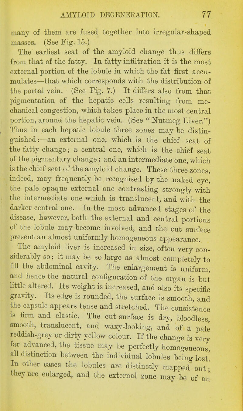 many of them are fused together into irregular-shaped masses. (See Fig. 15.) The earliest seat of the amyloid change thus differs from that of the fatty. In fatty infiltration it is the most external portion of the lobule in which the fat first accu- mulates—that which corresponds with the distribution of the portal vein. (See Fig. 7.) It differs also from that pigmentation of the hepatic cells resulting from me- chanical congestion, which takes place in the most central portion, around the hepatic vein. (See Nutmeg Liver.) Thus in each hepatic lobule three zones may be distin- guished:—an external one, which is the chief seat of the fatty change; a central one, which is the chief seat of the pigmentary change; and an intermediate one, which is the chief seat of the amyloid change. These three zones, indeed, may frequently be recognised by the naked eye, the pale opaque external one contrasting strongly with the intermediate one which is translucent, and with the darker central one. In the most advanced stages of the disease, however, both the external and central portions of the lobule may become involved, and the cut surface present an almost uniformly homogeneous appearance. The amyloid liver is increased in size, often very con- siderably so; it may be so large as almost completely to fill the abdominal cavity. The enlargement is uniform, and hence the natural configuration of the organ is but little altered. Its weight is increased, and also its specific gravity. Its edge is rounded, the surface is smooth, and the capsule appears tense and stretched. The consistence is firm and elastic. The cut surface is dry, bloodless, smooth, translucent, and waxy-looking, and of a pale reddish-grey or dirty yellow colour. If the change is very far advanced, the tissue may be perfectly homogeneous, all distinction between the individual lobules being lost' In other cases the lobules are distinctly mapped out • they are enlarged, and the external zone may be of an