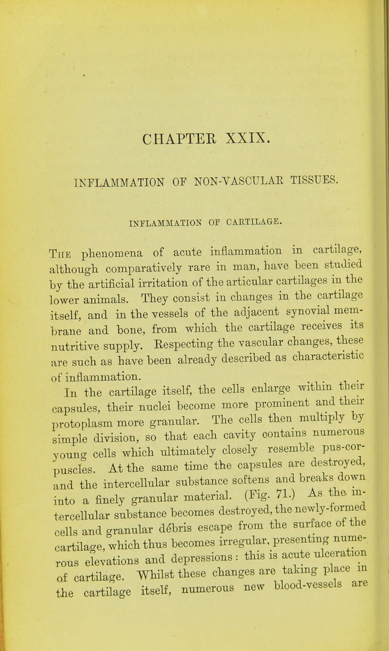 CHAPTER XXIX. INFLAMMATION OF NON-VASCULAE TISSUES. INFLAMMATION OF CARTILAGE. The phenomena of acute inflammation in cartilage, although comparatively rare in man, have been studied by the artificial irritation of the articular cartilages in the lower animals. They consist in changes in the cartilage itself, and in the vessels of the adjacent synovial mem- brane and bone, from which the cartilage receives its nutritive supply. Respecting the vascular changes, these are such as have been already described as characteristic of inflammation. In the cartilage itself, the cells enlarge within their capsules, their nuclei become more prominent and their protoplasm more granular. The cells then multiply by simple division, so that each cavity contains numerous young cells which ultimately closely resemble pus-cor- puscles. At the same time the capsules are destroyed, and the intercellular substance softens and breaks down into a finely granular material. (Fig. 71.) As the, in- tercellular substance becomes destroyed, the newly-formed cells and granular debris escape from the surface of the cartilage, which thus becomes irregular, presenting nume- rous elevations and depressions: this is acute ulceration of cartilage. Whilst these changes are talang place m the cartilage itself, numerous new blood-vessels are