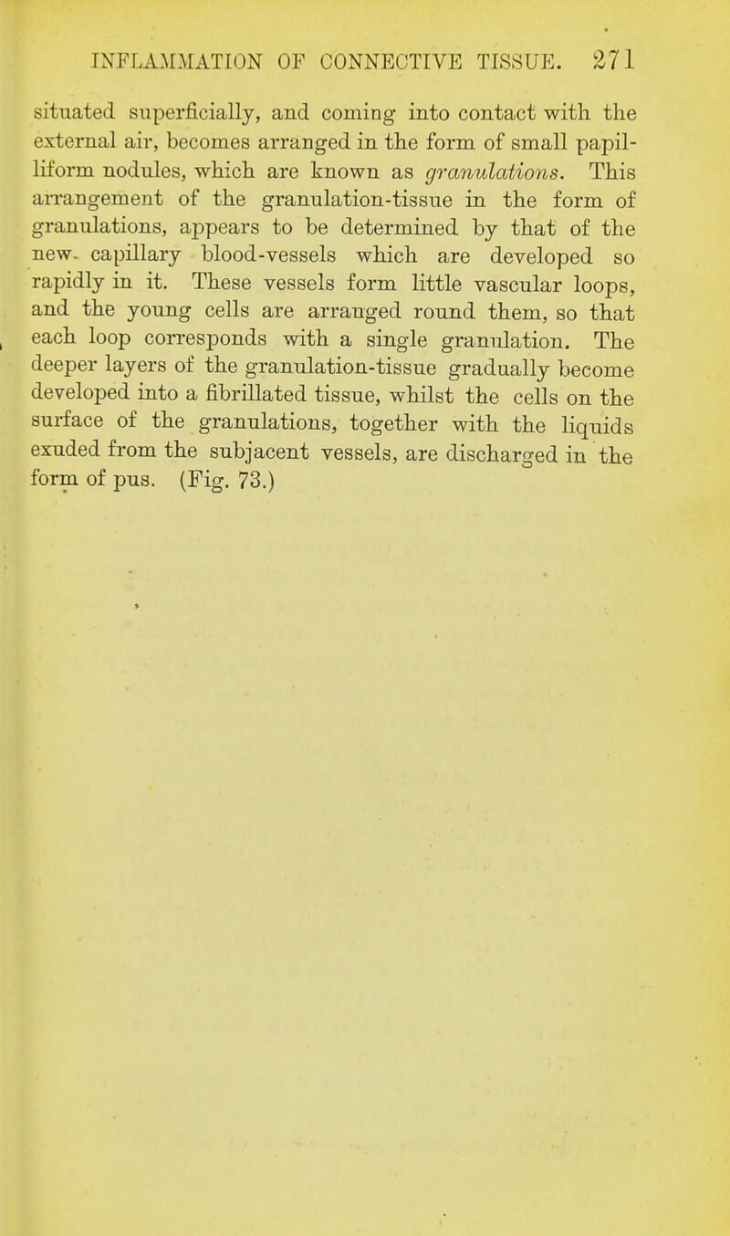 situated superficially, and coming into contact with the external air, becomes arranged in the form of small papil- liform nodules, which are known as granulations. This arrangement of the granulation-tissue in the form of granulations, appears to be determined by that of the new- capillary blood-vessels which are developed so rapidly in it. These vessels form little vascular loops, and the young cells are arranged round them, so that each loop corresponds with a single granulation. The deeper layers of the granulation-tissue gradually become developed into a fibrillated tissue, whilst the cells on the surface of the granulations, together with the liquids exuded from the subjacent vessels, are discharged in the form of pus. (Fig. 73.)