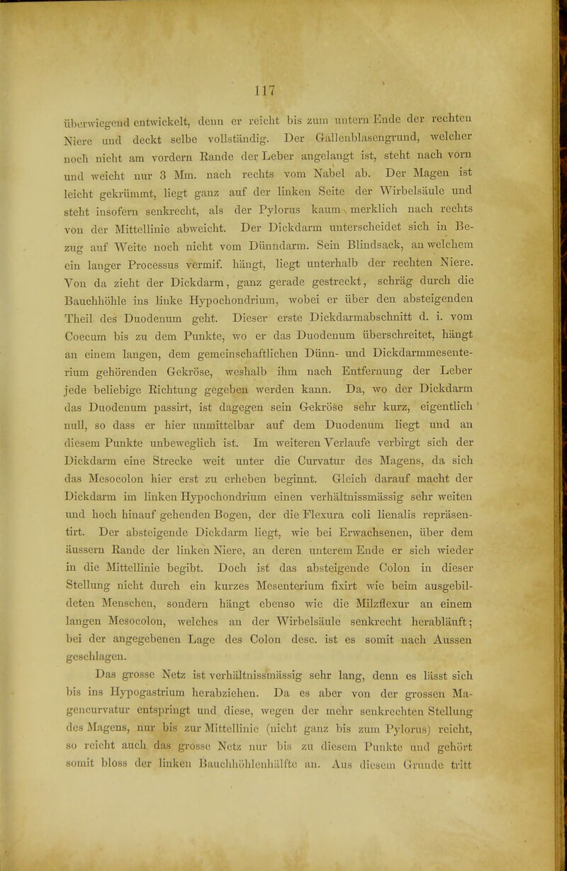 überwiegend entwickelt, denn er reiclit bis zum untern Ende der rechten Niere und deckt selbe vollständig. Der Gallenblasengrund, welcher noch nicht am vordem Eande der Leber angelangt ist, steht nach vom und weicht nur 3 Mm. nach rechts vom Nabel ab. Der Magen ist leicht gekrümmt, liegt ganz auf der linken Seite der Wirbelsäule und steht insofern senla-echt, als der Pylorus kaum n merklich nach rechts von der Mittellinie abweicht. Der Dickdarm unterscheidet sich in Be- zug auf Weite noch nicht vom Dünndarm. Sein Blindsack, an welchem ein langer Processus vermif. hängt, liegt unterhalb der rechten Niere. Von da zieht der Dickdarm, ganz gerade gestreckt, schräg durch die Bauchhöhle ins linke Hypochondrium, wobei er über den absteigenden Theil des Duodenum geht. Dieser erste Dickdarmäbschnitt d. i. vom Coecum bis zu dem Punkte, wo er das Duodenum überschreitet, hängt an einem langen, dem gemeinschaftlichen Dünn- und Dickdarmmesente- rium gehörenden Geki-öse, weshalb ihm nach Entfernung der Leber jede beliebige Richtung gegeben werden kann. Da, wo der Dickdarm das Duodenum passü-t, ist dagegen sein Gekröse sehr kurz, eigentlich null, so dass er hier unmittelbar auf dem Duodenum liegt und au diesem Punkte unbeweglich ist. Im weiteren Verlaufe verbirgt sich der Dickdai-m eine Strecke weit unter die Curvatur des Magens, da sich das Mesocolon hier erst zu erheben beginnt. Gleich darauf macht der Dickdarm im linken Hypochondrium einen verhältnissmässig sehr weiten und hoch hinauf gehenden Bogen, der die Flexura coli lienalis repräsen- tirt. Der absteigende Dickdarm liegt, wie bei Erwachsenen, über dem äussern Eande der linken Niere, an deren unterem Ende er sich Avieder in die Mittellinie begibt. Doch ist das absteigende Colon in dieser Stellung nicht durch ein kurzes Mesenterium fixirt wie beim ausgebil- deten Menschen, sondern hängt ebenso wie die Milzflexur an einem langen Mesocolon, welches au der Wirbelsäule senkrecht herabläuft; bei der angegebenen Lage des Colon desc. ist es somit nach Aussen geschlagen. Das grosse Netz ist verhältnissmässig sehr lang, denn es lässt sich bis ins Hypogastrium herabziehen. Da es aber von der grossen Ma- gencurvatur entspringt und diese, wegen der mehr senkrechten Stellung des Magens, nur bis zur Mittellinie (nicht ganz bis zum Pylorus) reicht, so reicht auch das grosse Netz nur bis zu diesem Punkte und gehört somit bloss der linken Bauchhöhlenhälfte an. Aus diesem Grunde tritt