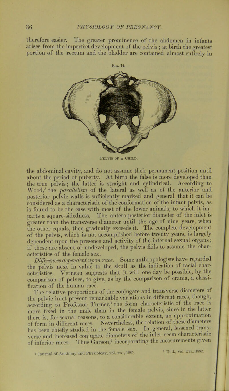 therefore easier. The greater prominence of the abdomen in infants arises from the imperfect development of the pelvis; at birth the greatest portion of the rectum and the bladder are contained almost entirely in Fig. 14. Pelvis of a Child. the abdominal cavity, and do not assume their permanent position until about the period of puberty. At birth the false is more developed than the true pelvis; the latter is straight and cylindrical. According to Wood,3 the parallelism of the lateral as well as of the anterior and posterior pelvic walls is sufficiently marked and general that it can be considered as a characteristic of the conformation of the infant pelvis, as is found to be the case with most of the lower animals, to which it im- parts a square-sidedness. The antero-posterior diameter of the inlet is greater than the transverse diameter until the age of nine years, when the other equals, then gradually exceeds it. The complete development of the pelvis, which is not accomplished before twenty years, is largely dependent upon the presence and activity of the internal sexual organ- ; if these are absent or undeveloped, the pelvis fails to assume the char- acteristics of the female sex. Differences dependent upon race. Some anthropologists have regarded the pelvis next in value to the skull as the indication of racial char- acteristics. Verneau suggests that it will one day be possible, by the comparison of pelves, to give, as by the comparison of crania, a classi- fication of the human race. The relative proportions of the conjugate and transverse diameters of the pelvic inlet present remarkable variations in different races, though, according to Professor Turner,1 the form characteristic of the race is more fixed in the male than in the female pelvis, since in the latter there is, for sexual reasons, to a considerable extent, an approximation of form in different races. Nevertheless, the relation of these diameters has been chiefly studied in the female sex. In general, lessened trans- verse and increased conjugate diameters of the inlet seem characteristic of inferior races. Thus Garson,2 incorporating the measurements given ' Journal of Anatomy and Physiology, vol. xx., 1885. s Ibid., vol. xvi., 1882.