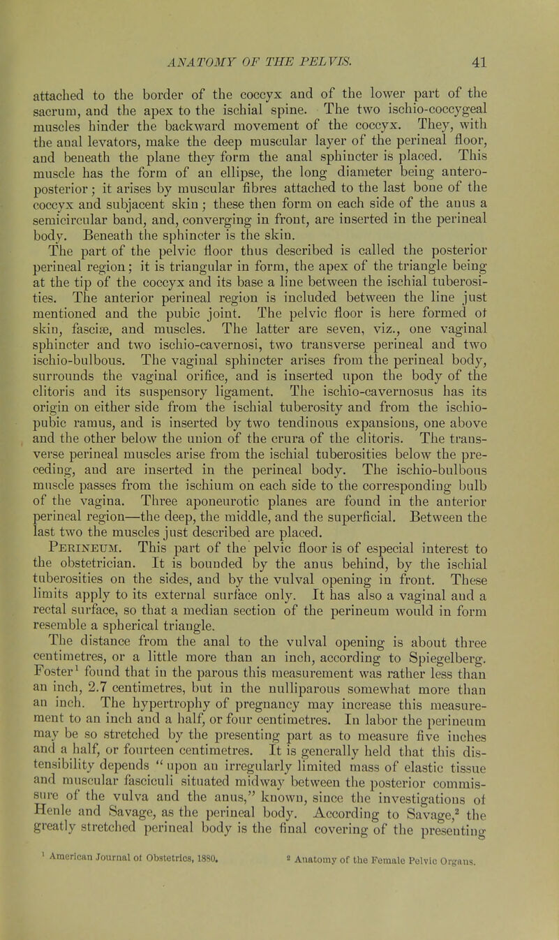 attached to the border of the coccyx and of the lower part of the sacrum, and the apex to the ischial spine. The two ischio-coccygeal muscles hinder the backward movement of the coccyx. They, with the anal levators, make the deep muscular layer of the perineal floor, aod beneath the plane they form the anal sphincter is placed. This muscle has the form of an ellipse, the long diameter being antero- posterior ; it arises by muscular fibres attached to the last bone of the coccyx and subjacent skin; these then form on each side of the amis a semicircular baud, and, converging in front, are inserted in the perineal body. Beneath the sphincter is the skin. The part of the pelvic floor thus described is called the posterior perineal region; it is triangular in form, the apex of the triangle being at the tip of the coccyx and its base a line between the ischial tuberosi- ties. The anterior perineal region is included between the line just mentioned and the pubic joint. The pelvic floor is here formed ot skin, fasciae, and muscles. The latter are seven, viz., one vaginal sphincter and two ischio-cavernosi, two transverse perineal and two ischio-bulbous. The vaginal sphincter arises from the perineal body, surrounds the vaginal orifice, and is inserted upon the body of the clitoris and its suspensory ligament. The ischio-cavernosus has its origin on either side from the ischial tuberosity and from the ischio- pubic ramus, and is inserted by two tendinous expansions, one above and the other below the union of the crura of the clitoris. The trans- verse perineal muscles arise from the ischial tuberosities below the pre- ceding, and are inserted in the perineal body. The ischio-bulbous muscle passes from the ischium on each side to the corresponding bulb of the vagina. Three aponeurotic planes are found in the anterior perineal region—the deep, the middle, and the superficial. Between the last two the muscles just described are placed. Perineum. This part of the pelvic floor is of especial interest to the obstetrician. It is bounded by the anus behind, by the ischial tuberosities on the sides, and by the vulval opening in front. These limits apply to its external surface only. It has also a vaginal and a rectal surface, so that a median section of the perineum would in form resemble a spherical triangle. The distance from the anal to the vulval opening is about three centimetres, or a little more than an inch, according to Spiegelberg. Foster1 found that in the parous this measurement was rather less than an inch, 2.7 centimetres, but in the nulliparous somewhat more than an inch. The hypertrophy of pregnancy may increase this measure- ment to an inch and a half, or four centimetres. In labor the perineum may be so stretched by the presenting part as to measure five inches and a half, or fourteen centimetres. It is generally held that this dis- tensibility depends  upon an irregularly limited mass of elastic tissue and muscular fasciculi situated midway between the posterior commis- sure of the vulva and the anus, known, since the investigations ot Henle and Savage, as the perineal body. According to Savage,2 the greatly stretched perineal body is the final covering of the presenting 1 American Journal ot Obstetrics, 18S0. Anatomy of the Female Pelvic Organs,
