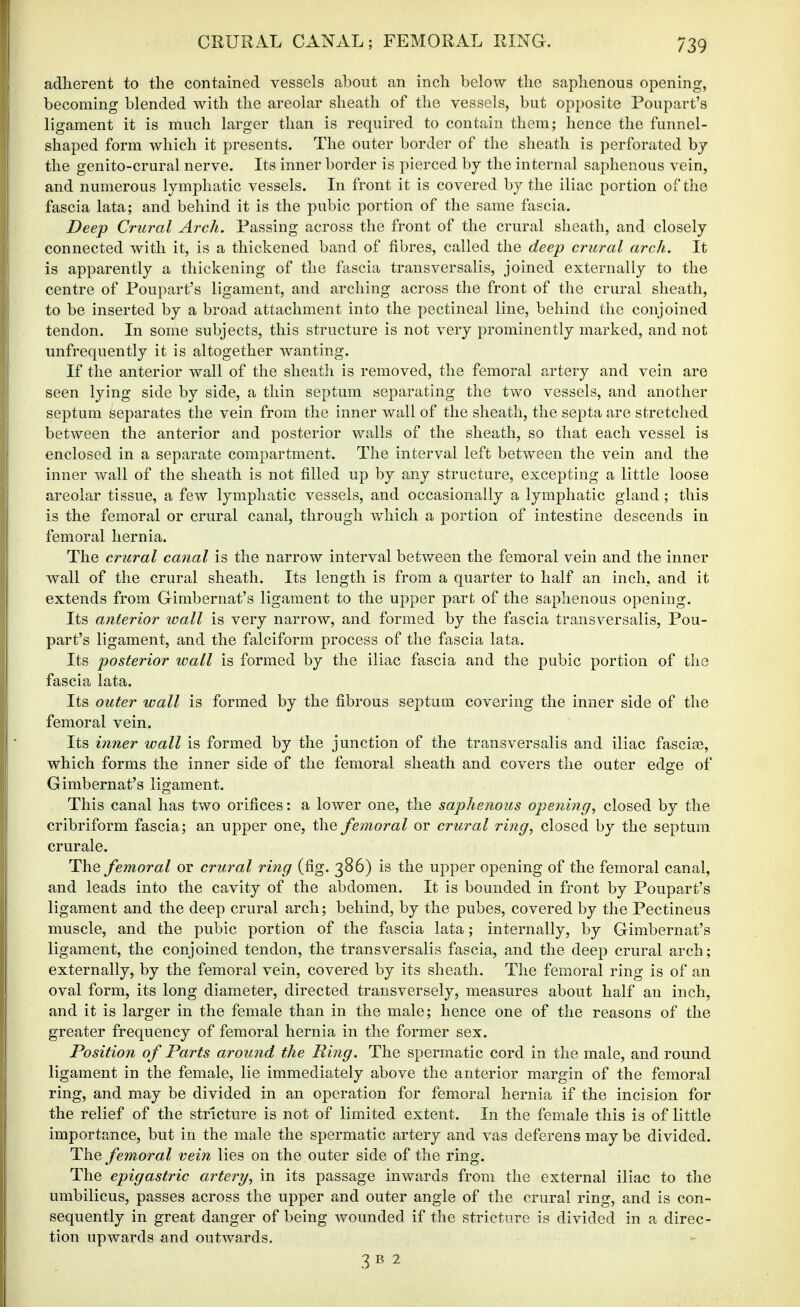 adherent to the contained vessels about an inch below the saphenous opening, becoming blended with the areolar sheath of the vessels, but opposite Poupart's ligament it is much larger than is required to contain them; hence the funnel- shaped form which it presents. The outer border of the sheath is perforated bj the genito-crural nerve. Its inner border is pierced by the internal saphenous vein, and numerous lymphatic vessels. In front it is covered by the iliac portion of the fascia lata; and behind it is the pubic portion of the same fascia. Deep Crural Arch. Passing across the front of the crural sheath, and closely connected with it, is a thickened band of fibres, called the deep crural arch. It is apparently a thickening of the fascia transversalis, joined externally to the centre of Poupart's ligament, and arching across the front of the crural sheath, to be inserted by a broad attachment into the pectineal line, behind the conjoined tendon. In some subjects, this structure is not very prominently marked, and not unfrequently it is altogether wanting. If the anterior wall of the sheath is removed, the femoral artery and vein are seen lying side by side, a thin septum separating the two vessels, and another septum separates the vein from the inner wall of the sheath, the septa are stretched between the anterior and posterior walls of the sheath, so that each vessel is enclosed in a separate compartment. The interval left between the vein and the inner wall of the sheath is not filled up by any structure, excepting a little loose areolar tissue, a few lymphatic vessels, and occasionally a lymphatic gland ; this is the femoral or crural canal, through which a portion of intestine descends in femoral hernia. The crural canal is the narrow interval between the femoral vein and the inner wall of the crural sheath. Its length is from a quarter to half an inch, and it extends from Gimbernat's ligament to the upper part of the saphenous opening. Its anterior ivall is very narrow, and formed by the fascia transversalis, Pou- part's ligament, and the falciform process of the fascia lata. Its posterior wall is formed by the iliac fascia and the pubic portion of the fascia lata. Its outer wall is formed by the fibrous septum covering the inner side of the femoral vein. Its inner wall is formed by the junction of the transversalis and iliac fasciae, which forms the inner side of the femoral sheath and covers the outer edsre of Gimbernat's ligament. This canal has two orifices: a lower one, the saphenous opening, closed by the cribriform fascia; an upper one, femoral or crural ring, closed by the septum crurale. The femoral or crural ring (fig. 386) is the upper opening of the femoral canal, and leads into the cavity of the abdomen. It is bounded in front by Poupart's ligament and the deep crural arch; behind, by the pubes, covered by the Pectineus muscle, and the pubic portion of the fascia lata; internally, by Gimbernat's ligament, the conjoined tendon, the transversalis fascia, and the deep crural arch; externally, by the femoral vein, covered by its sheath. The femoral ring is of an oval form, its long diameter, directed transversely, measures about half an inch, and it is larger in the female than in the male; hence one of the reasons of the greater frequency of femoral hernia in the former sex. Position of Parts around the Ring. The spermatic cord in the male, and round ligament in the female, lie immediately above the anterior margin of the femoral ring, and may be divided in an operation for femoral hernia if the incision for the relief of the stricture is not of limited extent. In the female this is of little importance, but in the male the spermatic artery and vas deferens may be divided. The femoral vein lies on the outer side of the ring. The epigastric artery, in its passage inwards from the external iliac to the umbilicus, passes across the upper and outer angle of the crural ring, and is con- sequently in great danger of being wounded if the stricture is divided in a direc- tion upwards and outwards. 3 B 2