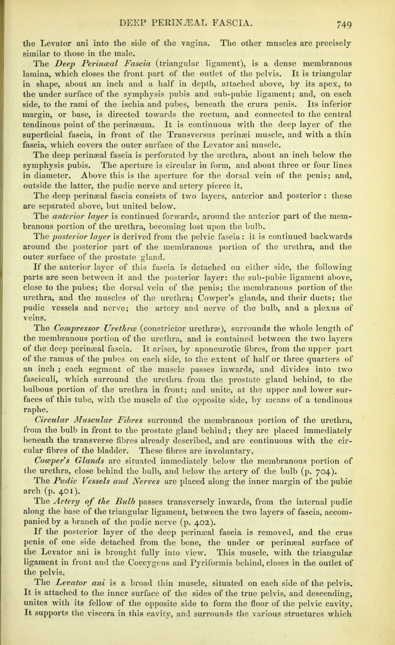 the Levator ani into the side of the vagina. The otlier muscles are precisely similar to those in the male. The Deep Perinceal Fascia (triangular ligament), is a dense membranous lamina, which closes the front part of the outlet of the pelvis. It is triangular in shape, about an inch and a half in depth, attached above, by its apex, to the under surface of the symphysis pubis and sub-pubic ligament; and, on each side, to the rami of the ischia and pubes, beneath the crura penis. Its inferior margin, or base, is directed towards the rectum, and connected to the central tendinous point of the perinjBum. It is continuous with the deep layer of the superficial fascia, in front of the Transversus perinsei muscle, and with a thin fascia, which covers the outer surface of the Levator ani muscle. The deep perinseal fascia is perforated by the urethra, about an inch below the symphysis pubis. The aperture is circular in form, and about three or four lines in diameter. Above this is the aperture for the dorsal vein of the penis; and, outside the latter, the pudic nerve and artery pierce it. The deep perinaeal fascia consists of two layers, anterior and posterior : these are separated above, but united below. The anterior layer is continued forwards, around the anterior part of the mem- branous portion of the urethra, becoming lost upon the bulb. The posterior layer is derived from the pelvic fascia: it is continued backwards around tlie posterior part of the membranous portion of the urethra, and the outer surface of the prostate gland. If the anterior layer of this fascia is detached on either side, the following parts are seen between it and the posterior layer: the sub-pubic ligament above, close to the pubes; the dorsal vein of the penis; the membranous portion of the urethra, and the muscles of the urethra; Cowper's glands, and their ducts; the pudic vessels and nerve; the artery and nerve of the bulb, and a plexus of veins. The Compressor Urethroe, (constrictor urethrEe), surrounds the whole length of the membranous portion of the urethra, and is contained between the two layers of the deep perinatal fascia. It arises, by aponeurotic fibres, from the upper part of the ramus of the pubes on each side, to the extent of half or three quarters of an inch ; each segment of the muscle passes inwards, and divides into two fasciculi, which surround the urethra from the prostate gland behind, to the bulbous portion of the urethra in front; and unite, at the upper and lower sur- faces of this tube, with the muscle of the opposite side, by means of a tendinous raphe. Circular Muscular Fibres surround the membranous portion of the urethra, from the bulb in front to the prostate gland behind; they are placed immediately beneath the transverse fibres already described, and are continuous with the cir- cular fibres of the bladder. These fibres are involuntary. Cowper's Glands are situated immediately below the membranous portion of the urethra, close behind the bulb, and below the artery of the bulb (p. 704). The Pudic Vessels and Nerves are placed along the inner margin of the pubic arch (p. 401). The Artery of the Bulb passes transversely inwards, from the internal pudic along the base of the triangular ligament, between the two layers of fascia, accom- panied by a branch of the pudic nerve (p. 402). If the posterior layer of the deep perinaBal fascia is removed, and the crus penis of one side detached from the bone, the under or perinaeal surface of the Levator ani is brought fully into view. This muscle, with the triangular ligament in front and the Coccygcus and Pyriformis behind, closes in the outlet of the pelvis. The Levator ani is a broad thin muscle, situated on each side of the pelvis. It is attached to the inner surface of the sides of the true pelvis, and descending, unites with its fellow of the opposite side to form the floor of the pelvic cavity. It supports the viscera in this cavity, and surrounds the various structures which