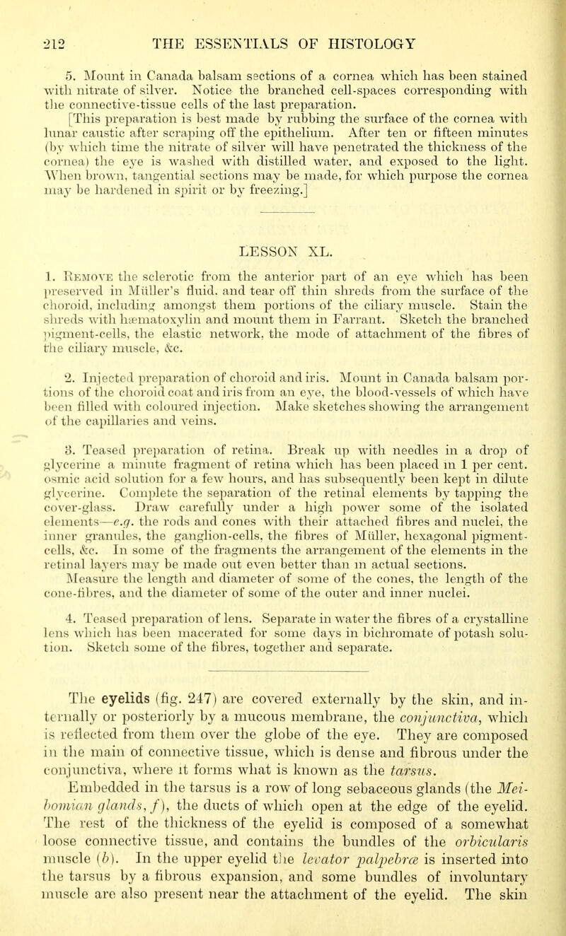 5. Mount in Canada balsam sections of a cornea which has been stained with nitrate of silver. Notice the branched cell-spaces corresponding with tlie connective-tissue cells of the last preparation. [This preparation is best made by rubbing the surface of the cornea with lunar caustic after scraping off the epithelium. After ten or fifteen minutes (by which time the nitrate of silver will have penetrated the thickness of the cornea) the eye is washed with distilled water, and exposed to the light. When brown, tangential sections may be made, for which purpose the cornea may be hardened in spirit or by freezing.] LESSON XL. 1. Remove the sclerotic from the anterior part of an eye which has been preserved in Miiller's fluid, and tear off thin shreds from the surface of the choroid, including amongst them portions of the ciliar}^ muscle. Stain the shreds with hiematoxylin and mount them in Farrant. Sketch the branched pigment-cells, the elastic network, the mode of attachment of the fibres of the ciliary muscle, &c. 2. Injected preparation of choroid and iris. Mount in Canada balsam por- tions of the choroid coat and iris from an eye, the blood-vessels of which have been filled with coloured injection. Make sketches showing the arrangement of the capillaries and veins. 8. Teased preparation of retina. Break up with needles in a drop of glycerine a minute fragment of retina which has been placed m 1 per cent, osmic acid solution for a few hours, and has subsequently been kept in dilute glycerine. Complete the separation of the retinal elements by tapping the cover-glass. Draw carefully under a high power some of the isolated elements—e.g. the rods and cones with their attached fibres and nuclei, the inner granules, the ganglion-cells, the fibres of Miiller, hexagonal pigment- cells, &c. In some of the fragments the arrangement of the elements in the retinal layers may be made out even better than m actual sections. ]\Ieasure the length and diameter of some of the cones, the length of the cone-fibres, and the diameter of some of the outer and inner nuclei. 4. Teased preparation of lens. Separate in water the fibres of a crystalline lens which has been macerated for some days in bichromate of potash solu- tion. Sketch some of the fibres, together and separate. The eyelids (fig. 247) are covered externally by the skin, and in- ternally or posteriorly by a mucous membrane, the conjunctiva, which is reflected from them over the globe of the eye. They are composed in the main of connective tissue, which is dense and fibrous under the conjunctiva, where it forms what is known as tlie tarsus. Embedded in the tarsus is a row of long sebaceous glands fthe Mei- homum glands, f ), the ducts of which open at the edge of the eyelid. The rest of the thickness of the eyelid is composed of a somewhat loose connective tissue, and contains the bundles of the orbicularis muscle (b). In the upper eyelid t]ie levator palijebrcs is inserted into the tarsus by a fibrous expansion, and some bundles of involuntary muscle are also present near the attachment of the eyelid. The skin