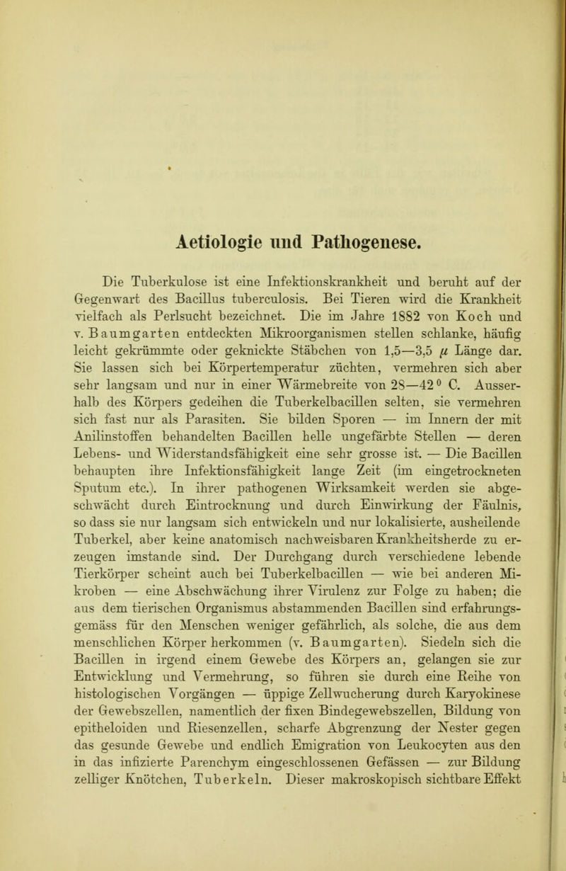 Aetiologie und Pathogenese. Die Tuberkulose ist eine Infektionskrankheit und beruht auf der Gegenwart des Bacillus tuberculosis. Bei Tieren wird die Krankheit yieifach als Perlsucht bezeichnet. Die im Jahre 1882 Yon Koch und Y. Baumgarten entdeckten Mikroorganismen stellen schlanke, häufig leicht gekrümmte oder geknickte Stäbchen von 1,5—3,5 ^ Länge dar. Sie lassen sich bei Körpertemperatur züchten, vermehren sich aber sehr langsam und nur in einer Wärmebreite von 28—42 ^ C. Ausser- halb des Körpers gedeihen die Tuberkelbacillen selten, sie vermehren sich fast nur als Parasiten. Sie bilden Sporen — im Innern der mit Anilinstoffen behandelten Bacillen helle ungefärbte Stellen — deren Lebens- und Widerstandsfähigkeit eine sehr grosse ist. — Die Bacillen behaupten ihre Infektionsfähigkeit lange Zeit (im eingetrockneten Sputum etc.). In ihrer pathogenen Wirksamkeit werden sie abge- schwächt durch Eintrocknung und durch Einwirkung der Fäulnis, so dass sie nur langsam sich entwickeln und nur lokalisierte, ausheilende Tuberkel, aber keine anatomisch nachweisbaren Krankheitsherde zu er- zeugen imstande sind. Der Durchgang durch verschiedene lebende Tierkörper scheint auch bei Tuberkelbacillen — wie bei anderen Mi- kroben — eine Abschwächung ihrer Virulenz zur Folge zu haben; die aus dem tierischen Organismus abstammenden Bacillen sind erfahrungs- gemäss für den Menschen weniger gefährlich, als solche, die aus dem menschlichen Körper herkommen (v. Baumgarten). Siedeln sich die Bacillen in irgend einem Gewebe des Körpers an, gelangen sie zur Entwicklung und Vermehrung, so führen sie durch eine Reihe von histologischen Vorgängen — üppige Zellwucherung durch Karyokinese der Gewebszellen, namentlich der fixen Bindegewebszellen, Bildung von epitheloiden und Riesenzellen, scharfe Abgrenzung der Nester gegen das gesunde Gewebe und endlich Emigration von Leukocyten aus den in das infizierte Parenchym eingeschlossenen Gefässen — zur Bildung zelliger Knötchen, Tuberkeln. Dieser makroskopisch sichtbare Effekt