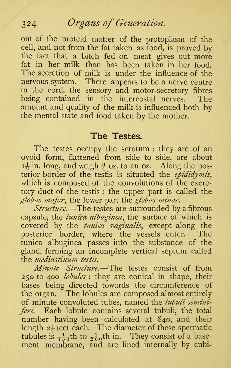 out of the proteid matter of the protoplasm of the cell, and not from the fat taken as food, is proved by the fact that a bitch fed on meat gives out more fat in her milk than has been taken in her food. The secretion of milk is under the influence of the nervous system. There appears to be a nerve centre in the cord, the sensory and motor-secretory fibres being contained in the intercostal nerves. The amount and quality of the milk is influenced both by the mental state and food taken by the mother. The Testes. The testes occupy the scrotum : they are of an ovoid form, flattened from side to side, are about in. long, and weigh f oz. to an oz. Along the pos- terior border of the testis is situated the epididymis^ which is composed of the convolutions of the excre- tory duct of the testis : the upper part is called the globus 77iajor^ the lower part the globus minor. Structure.—The testes are surrounded by a fibrous capsule, the tunica albuginea^ the surface of which is covered by the tunica vaginalis, except along the posterior border, where the vessels enter. The tunica albuginea passes into the substance of the gland, forming an incomplete vertical septum called the 77iediastinum testis. Minute Structure.—The testes consist of from 250 to 400 lobules : they are conical in shape, their bases being directed towards the circumference of the organ. The lobules are composed almost entirely of minute convoluted tubes, named the tubuli semini- feri. Each lobule contains several tubuli, the total number having been calculated at 840, and their length 2\ feet each. The diameter of these spermatic tubules is y^-oth to ^-^^h in. They consist of a base- ment membrane, and are lined internally by cubi-