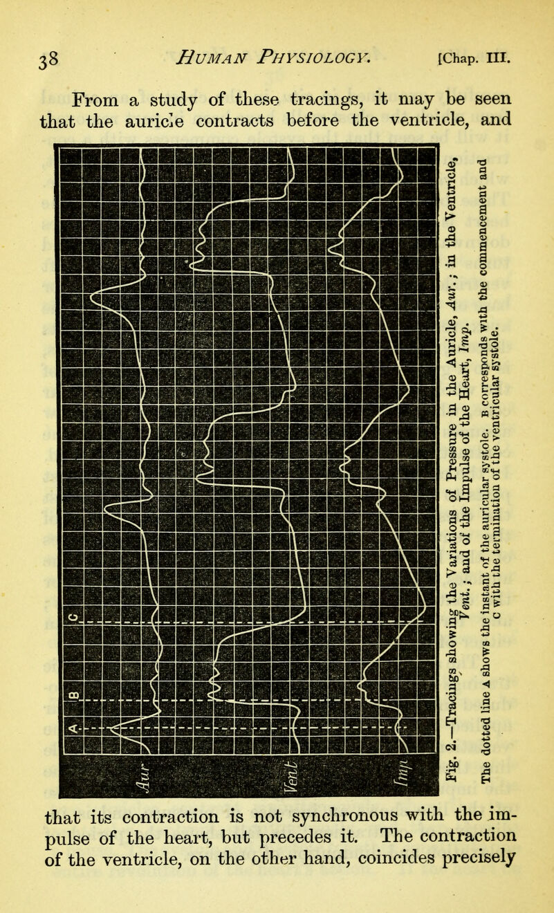 From a study of these tracings, it may be seen that the auricle contracts before the ventricle, and that its contraction is not synchronous with the im- pulse of the heart, but precedes it. The contraction of the ventricle, on the other hand, coincides precisely