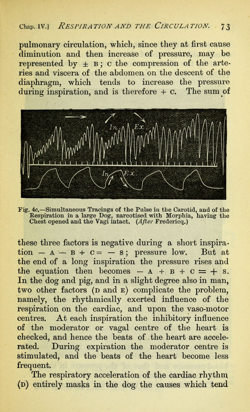 pulmonary circulation, which, since they at first cause diminution and then increase of pressure, may be represented by ± b ; c the compression of the arte- ries and viscera of the abdomen on the descent of the diaphragm, which tends to increase the pressure during inspiration, and is therefore + c. The sum of Fig. 4c.—Simultaneous Tracings of the Pulse in the Carotid, and of the Eespiration in a large Dog, narcotised with Morphia, having the Chest opened and the Vagi intact. {After Fredericq.) these three factors is negative during a short inspira- tion — A — B + c = — s; pressure low. But at the end of a long inspiration the pressure rises and the equation then becomes — A +b + c = +s. In the dog and pig, and in a slight degree also in man, two other factors (d and e) complicate the problem, namely, the rhythmically exerted influence of the respiration on the cardiac, and upon the vaso-motor centres. At each inspiration the inhibitory influence of the moderator or vagal centre of the heart is checked, and hence the beats of the heart are accele- rated. During expiration the moderator centre is stimulated, and the beats of the heart become less frequent. The respiratory acceleration of the cardiac rhythm. (d) entirely masks in the dog the causes which tend