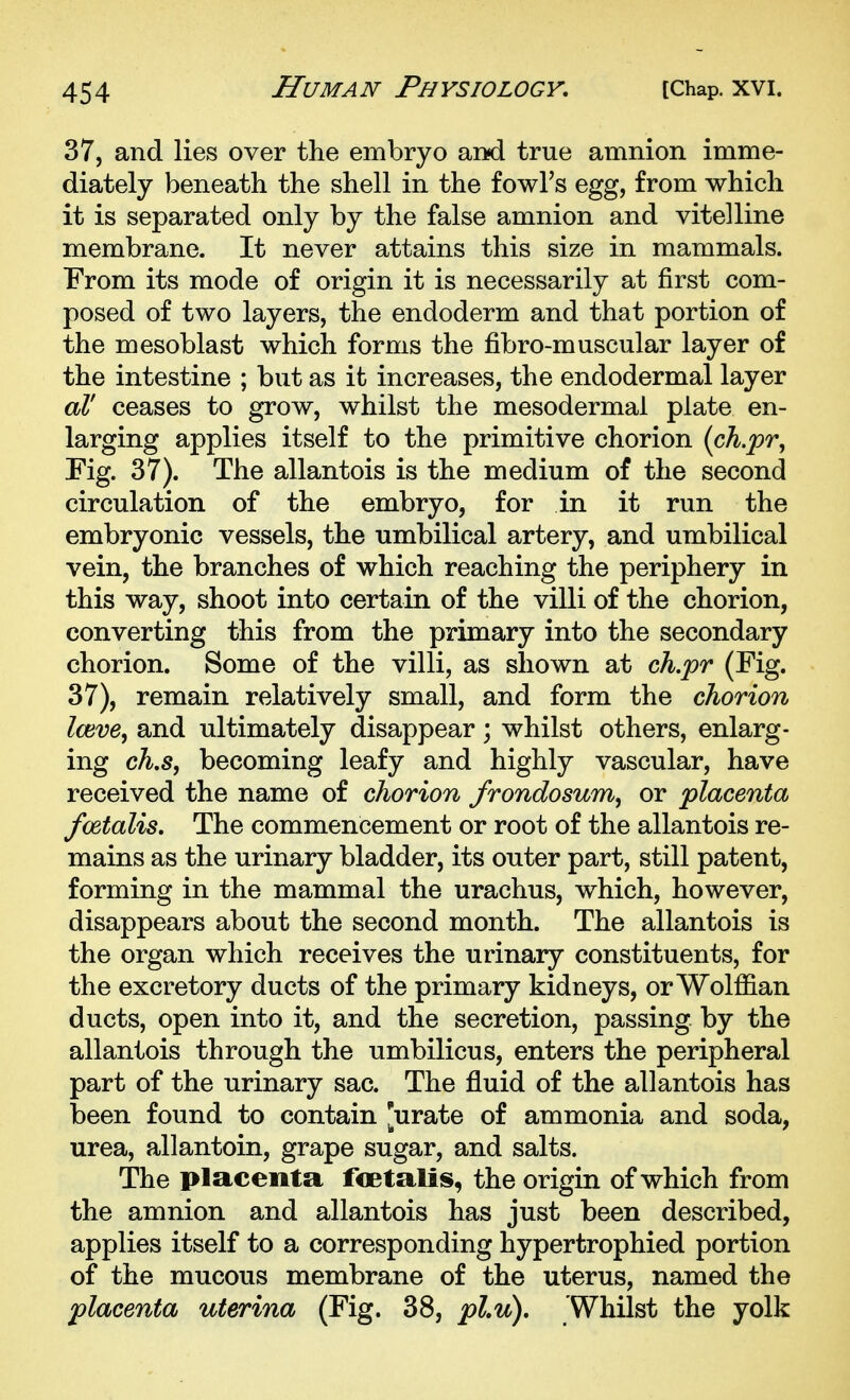 37, and lies over the embryo and true amnion imme- diately beneath the shell in the fowFs egg, from which it is separated only by the false amnion and vitelline membrane. It never attains this size in mammals. From its mode of origin it is necessarily at first com- posed of two layers, the endoderm and that portion of the mesoblast which forms the fibro-muscular layer of the intestine ; but as it increases, the endodermal layer aV ceases to grow, whilst the mesodermal plate en- larging applies itself to the primitive chorion (ch.pr, Fig. 37). The allantois is the medium of the second circulation of the embryo, for in it run the embryonic vessels, the umbilical artery, and umbilical vein, the branches of which reaching the periphery in this way, shoot into certain of the villi of the chorion, converting this from the primary into the secondary chorion. Some of the villi, as shown at ch.pr (Fig. 37), remain relatively small, and form the chorion leave^ and ultimately disappear ; whilst others, enlarg- ing cA.5, becoming leafy and highly vascular, have received the name of chorion frondosum, or placenta fcetalis. The commencement or root of the allantois re- mains as the urinary bladder, its outer part, still patent, forming in the mammal the urachus, which, however, disappears about the second month. The allantois is the organ which receives the urinary constituents, for the excretory ducts of the primary kidneys, or Wolffian ducts, open into it, and the secretion, passing, by the allantois through the umbilicus, enters the peripheral part of the urinary sac. The fluid of the allantois has been found to contain [urate of ammonia and soda, urea, allantoin, grape sugar, and salts. The placenta foetalis, the origin of which from the amnion and allantois has just been described, applies itself to a corresponding hypertrophied portion of the mucous membrane of the uterus, named the placenta uterina (Fig. 38, pl,u). Whilst the yolk