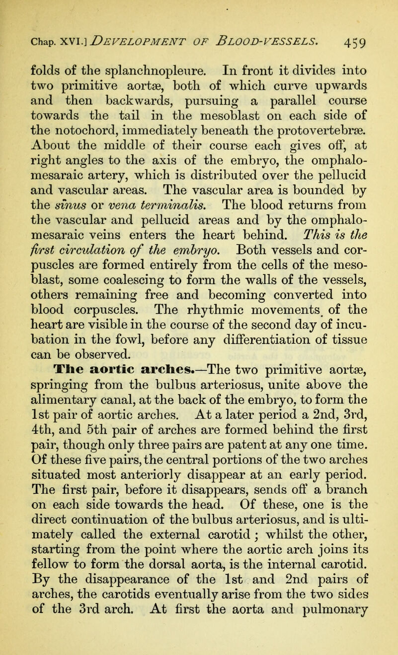 folds of the splanchnopleure. In front it divides into two primitive aortse, both of which curve upwards and then backwards, pursuing a parallel course towards the tail in the mesoblast on each side of the notochord, immediately beneath the protovertebrse. About the middle of their course each gives off, at right angles to the axis of the embryo, the omphalo- mesaraic artery, which is distributed over the pellucid and vascular areas. The vascular area is bounded by the smus or vena terminalis. The blood returns from the vascular and pellucid areas and by the omphalo- mesaraic veins enters the heart behind. This is the first circulation of the embryo. Both vessels and cor- puscles are formed entirely from the cells of the meso- blast, some coalescing to form the walls of the vessels, others remaining free and becoming converted into blood corpuscles. The rhythmic movements, of the heart are visible in the course of the second day of incu- bation in the fowl, before any differentiation of tissue can be observed. The aortic arches.—The two primitive aortse, springing from the bulbus arteriosus, unite above the alimentary canal, at the back of the embryo, to form the 1st pair of aortic arches. At a later period a 2nd, 3rd, 4th, and 5th pair of arches are formed behind the first pair, though only three pairs are patent at any one time. Of these five pairs, the central portions of the two arches situated most anteriorly disappear at an early period. The first pair, before it disappears, sends off a branch on each side towards the head. Of these, one is the direct continuation of the bulbus arteriosus, and is ulti- mately called the external carotid ; whilst the other, starting from the point where the aortic arch joins its fellow to form the dorsal aorta, is the internal carotid. By the disappearance of the 1st and 2nd pairs of arches, the carotids eventually arise from the two sides of the 3rd arch. At first the aorta and pulmonary