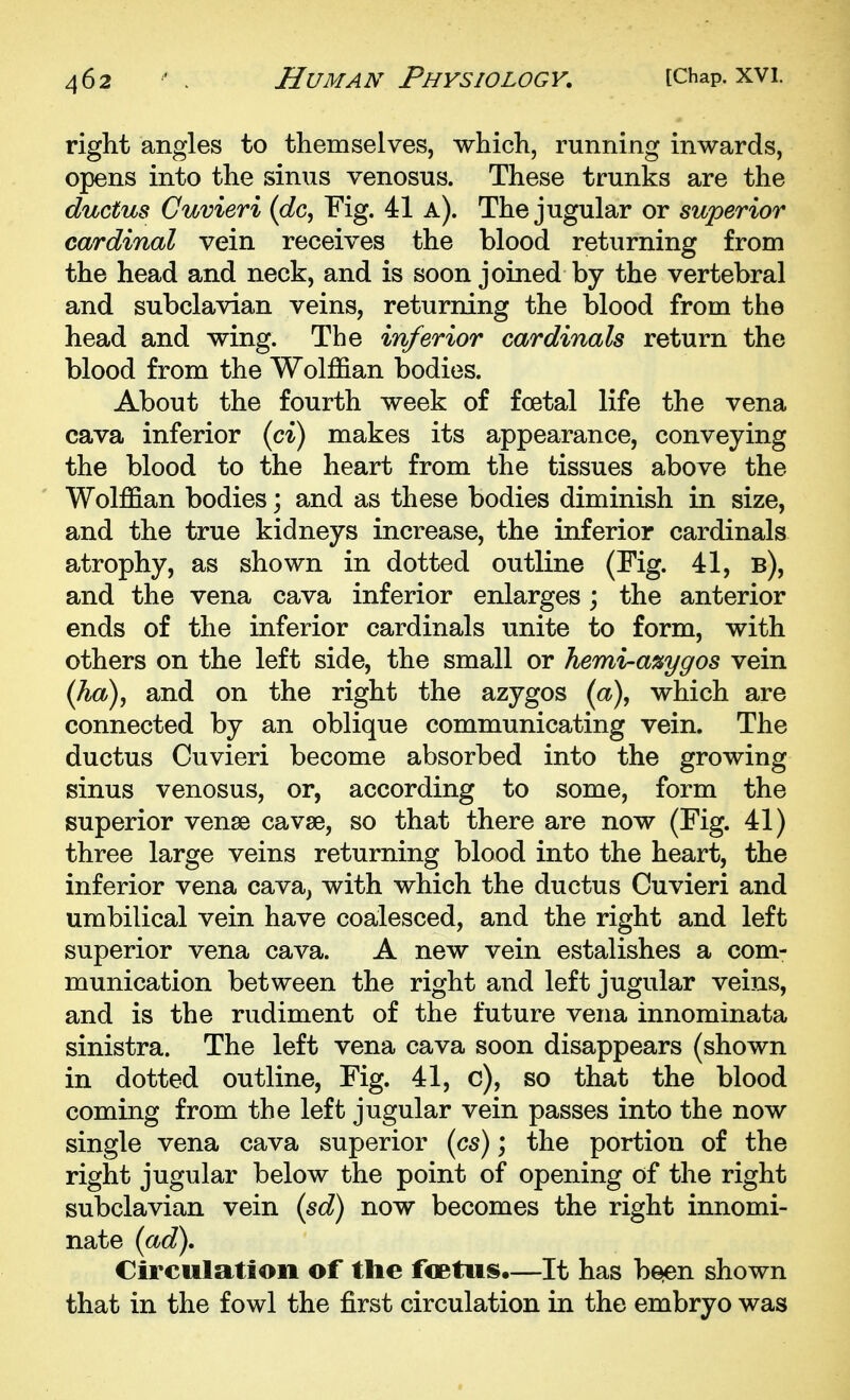 right angles to themselves, which, running inwards, opens into the sinus venosus. These trunks are the ductus Cuvieri (dc, Fig. 41 a). The jugular or superior cardinal vein receives the blood returning from the head and neck, and is soon joined by the vertebral and subclavian veins, returning the blood from the head and wing. The inferior cardinals return the blood from the Wolffian bodies. About the fourth week of foetal life the vena cava inferior (ci) makes its appearance, conveying the blood to the heart from the tissues above the Wolffian bodies; and as these bodies diminish in size, and the true kidneys increase, the inferior cardinals atrophy, as shown in dotted outline (Fig. 41, b), and the vena cava inferior enlarges; the anterior ends of the inferior cardinals unite to form, with others on the left side, the small or hemi-a%ygos vein (ha), and on the right the azygos {a), which are connected by an oblique communicating vein. The ductus Cuvieri become absorbed into the growing sinus venosus, or, according to some, form the superior vense cavse, so that there are now (Fig. 41) three large veins returning blood into the heart, the inferior vena cava, with which the ductus Cuvieri and umbilical vein have coalesced, and the right and left superior vena cava. A new vein estalishes a com- munication between the right and left jugular veins, and is the rudiment of the future vena innominata sinistra. The left vena cava soon disappears (shown in dotted outline, Fig. 41, c), so that the blood coming from the left jugular vein passes into the now single vena cava superior {cs); the portion of the right jugular below the point of opening of the right subclavian vein (sd) now becomes the right innomi- nate (ad). Circulation of the foBtus,—It has besen shown that in the fowl the first circulation in the embryo was