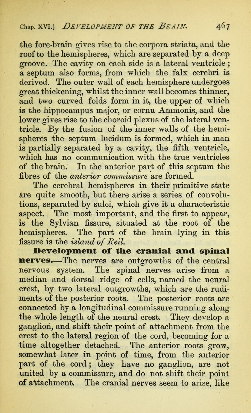 the fore-brain gives rise to the corpora striata, and the roof to the hemispheres, which are separated by a deep groove. The cavifcy on each side is a lateral ventricle; a septum also forms, from which the falx cerebri is derived. The outer wall of each hemisphere undergoes great thickening, whilst the inner wall becomes thinner, and two curved folds form in it, the upper of which is the hippocampus major, or cornu Ammonis, and the lower gives rise to the choroid plexus of the lateral ven- tricle. By the fusion of the inner walls of the hemi- spheres the septum lucidum is formed, which in man is partially separated by a cavity, the fifth ventricle, which has no communication with the true ventricles of the brain. In the anterior part of this septum the fibres of the anterior commissure are formed. The cerebral hemispheres in their primitive state are quite smooth, but there arise a series of convolu- tions, separated by sulci, which give it a characteristic aspect. The most important, and the first to appear, is the Sylvian fissure, situated at the root of the hemispheres. The part of the brain lying in this fissure is the island of Reil. Development of tlie cranial and spinal nerves.—The nerves are outgrowths of the central nervous system. The spinal nerves arise from a median and dorsal ridge of cells, named the neural crest, by two lateral outgrowths, which are the rudi- ments of the posterior roots. The posterior roots are connected by a longitudinal commissure running along the whole length of the neural crest. They develop a ganglion, and shift their point of attachment from the crest to the lateral region of the cord, becoming for a time altogether detached. The anterior roots grow, somewhat later in point of time, from the anterior part of the cord; they have no ganglion, are not united by a commissure, and do not shift their point of attachment. The cranial nerves seem to arise, like