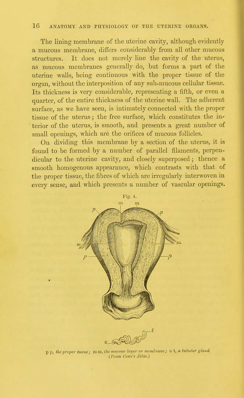 The lining membrane of the uterine cavity, although evidently a mucous membrane, differs considerably from all other mucous structures. It does not merely line the cavity of the uterus, as mucous membranes generally do, but forms a part of the uterine walls, being continuous with the proper tissue of the organ, without the interposition of any sub-mucous cellular tissue. Its thickness is very considerable, representing a fifth, or even a quarter, of the entire thickness of the uterine wall. The adherent surface, as we have seen, is intimately connected with the proper tissue of the uterus; the free surface, which constitutes the in- terior of the uterus, is smooth, and presents a great number of small openings, which are the orifices of mucous follicles. On dividing this membrane by a section of the uterus, it is found to be formed by a number of parallel filaments, perpen- dicular to the uterine cavity, and closely superposed; thence a smooth homogenous appearance, which contrasts with that of the proper tissue, the fibres of which are irregularly interwoven in every sense, and which presents a number of vascular openings. Fig. 4. in 771 p p, tlieproper tissue; in in, the mucous layer or memtrane; o t, a tubular gluud. (From Caste's Atlas.)