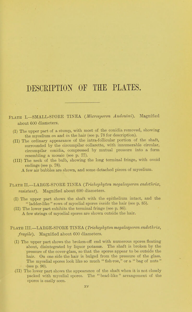 DESCRIPTION OF THE PLATES. Plate I.—SMALL-SPOEE TINEA {Micros^oron Audouini). Magnified about 600 diameters. (I) The upper part of a stump, -with most of the conidia removed, showing the mycelitmi on and in the hair (see p. 78 for description). (II) The ordinary appearance of the intra-foUicular portion of the shaft, suiTOunded by the circumpilar collarette, with innumerable circular, circumpilar conidia, compressed by mutual pressure into a form resembling a mosaic (see p. 77). (III) The neck of the bulb, showing the long terminal fringe, with ovoid endings (see p. 78). A few air bubbles are shown, and some detached pieces of mycelium. Plate 11.—LARGE-SPORE TINEA (^Trichophyton megalosjjoron endothrix, resistant). Magnified about 600 diameters. (I) The upper part shows the shaft with the epithelium intact, and the  ladder-like  rows of mycelial spores inside the hair (see p. 85). (II) The lower part exhibits the terminal fringe (see p. 86). A few strings of mycelial spores are shown outside the hair. Plate III.—LARGE-SPORE TINEA (Trichophyton megalosjwron endothriai, fragile). Magnified about 600 diameters. (I) The upper part shows the broken-off end with numerous spores floating about, disintegrated by liquor potassse. The shaft is broken by the pressure of the cover-glass, so that the spores appear to be outside the hair. On one side the hair is bulged from the pressure of the glass. The myceUal spores look Uke ao much  fish-roe, or a  bag of nuts  ■ (seep. 90). (II) The lower part shows the appearance of the shaft when it is not closely packed with mycelial spores. The  bead-like  an-angement of the spores is easily seen.