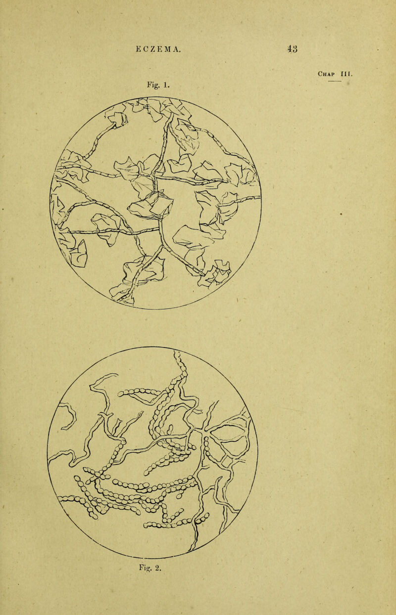 Chap III. Fig. 1.