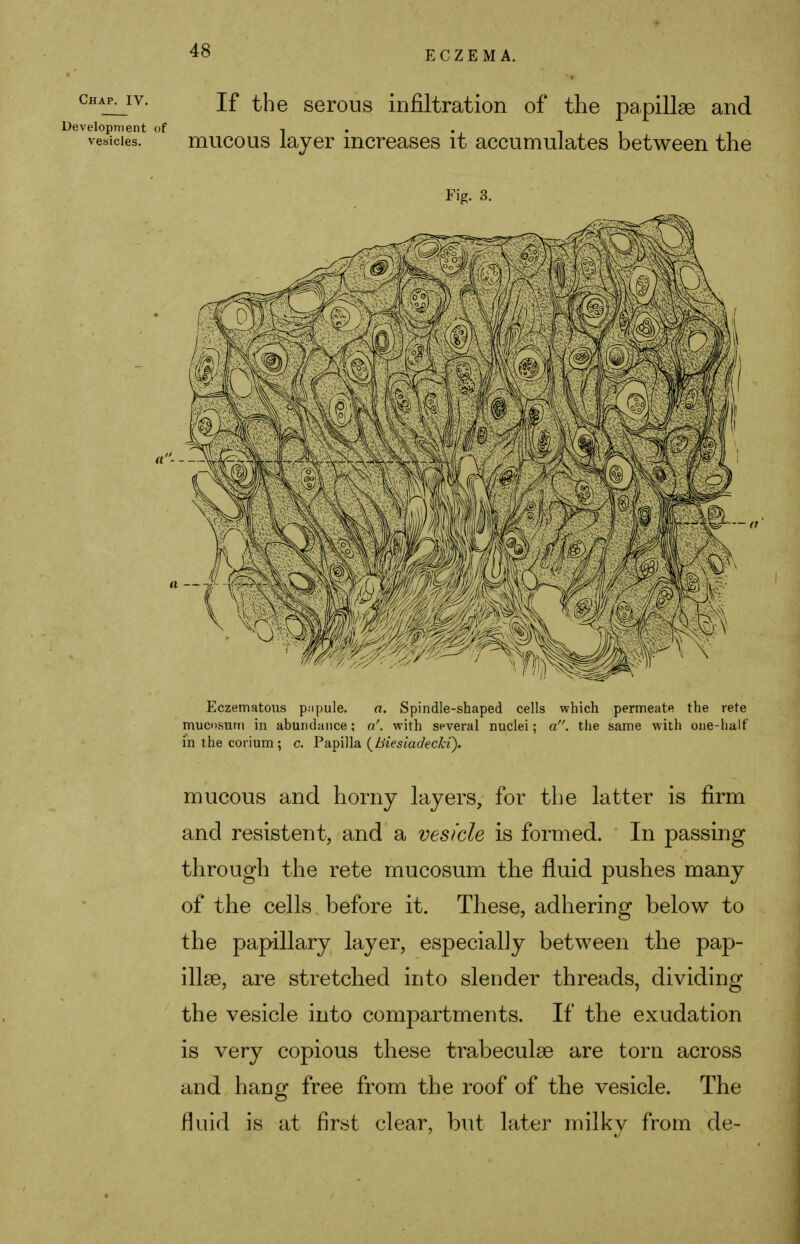 4« ECZEMA. chap^iv. if the serous infiltration of the papillae and Development of -, . . , , . vesicles. mucous layer increases it accumulates between the Fig. 3. Eczematous p;ipule. a. Spindle-shaped cells which permeate the rete mucosum in abundance; a', with several nuclei; a, the same with one-halt' in the corium ; c. Papilla (Biesiadecki). mucous and horny layers, for the latter is firm and resistent, and a vesicle is formed. In passing through the rete mucosum the fluid pushes many of the cells before it. These, adhering below to the papillary layer, especially between the pap- illae, are stretched into slender threads, dividing the vesicle into compartments. If the exudation is very copious these trabeculae are torn across and hang free from the roof of the vesicle. The fluid is at first clear, but later milky from de-