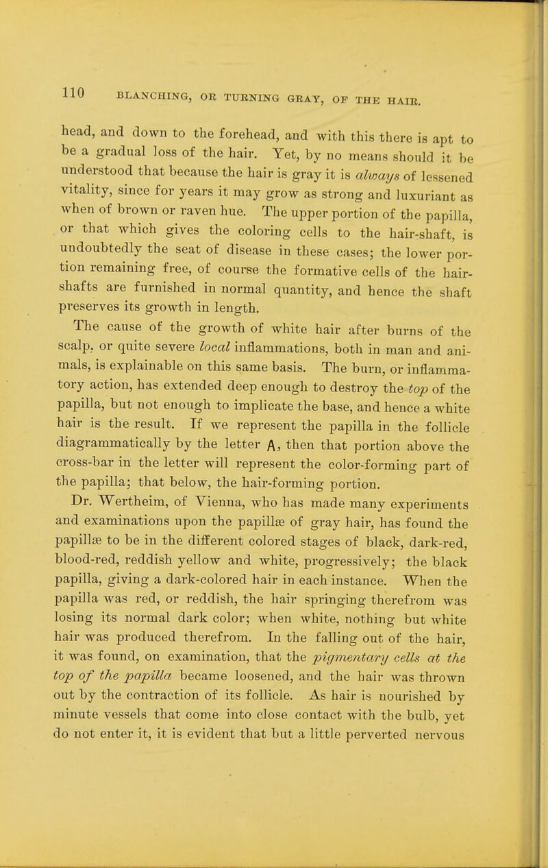 head, and down to the forehead, and with this there is apt to be a gradual loss of the hair. Yet, by no means should it be understood that because the hair is gray it is always of lessened vitality, since for years it may grow as strong and luxuriant as when of brown or raven hue. The upper portion of the papilla, or that which gives the coloring cells to the hair-shaft, is undoubtedly the seat of disease in these cases; the lower por- tion remaining free, of course the formative cells of the hair- shafts are furnished in normal quantity, and hence the shaft preserves its growth in length. The cause of the growth of white hair after burns of the scalp, or quite severe local inflammations, both in man and ani- mals, is explainable on this same basis. The burn, or inflamma- tory action, has extended deep enough to destroy the top of the papilla, but not enough to implicate the base, and hence a white hair is the result. If we represent the papilla in the follicle diagrammatically by the letter A, then that portion above the cross-bar in the letter will represent the color-forming part of the papilla; that below, the hair-forming portion. Dr. Wertheim, of Vienna, who has made many experiments and examinations upon the papillae of gray hair, has found the papillae to be in the different colored stages of black, dark-red, blood-red, reddish yellow and white, progressively; the black papilla, giving a dark-colored hair in each instance. When the papilla was red, or reddish, the hair springing therefrom was losing its normal dark color; when white, nothing but white hair was produced therefrom. In the falling out of the hair, it was found, on examination, that the pigmentary cells at the top of the papilla became loosened, and the hair was thrown out by the contraction of its follicle. As hair is nourished by minute vessels that come into close contact with the bulb, yet do not enter it, it is evident that but a little perverted nervous