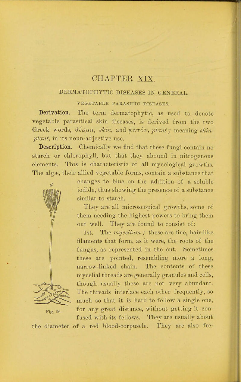 CHAPTER XIX. DERMATOPHYTE DISEASES IN GENERAL. VEGETABLE PARASITIC DISEASES. Derivation. The term dermatophyte, as used to denote vegetable parasitical skin diseases, is derived from the two Greek words, deppia, shin, and xpvrov, plant; meaning shin- plant, in its noun-adjective use. Description. Chemically we find that these fungi contain no starch or chlorophyll, but that they abound in nitrogenous elements. This is characteristic of all mycological growths. The algae, their allied vegetable forms, contain a substance that changes to blue on the addition of a soluble iodide, thus showing the jn-esence of a substance similar to starch. They are all microscopical growths, some of them needing the highest powers to bring them out well. They are found to consist of: 1st. The mycelium ; these are fine, hair-like filaments that form, as it were, the roots of the fungus, as represented in the cut. Sometimes these are pointed, resembling more a long, narrow-linked chain. The contents of these mycelial threads are generally granules and cells, though usually these are not very abundant. The threads interlace each other frequently, so much so that it is hard to follow a single one, for any great distance, without getting it con- fused with its fellows. They are usually about the diameter of a red blood-corpuscle. They are also fre- Fig. 26.