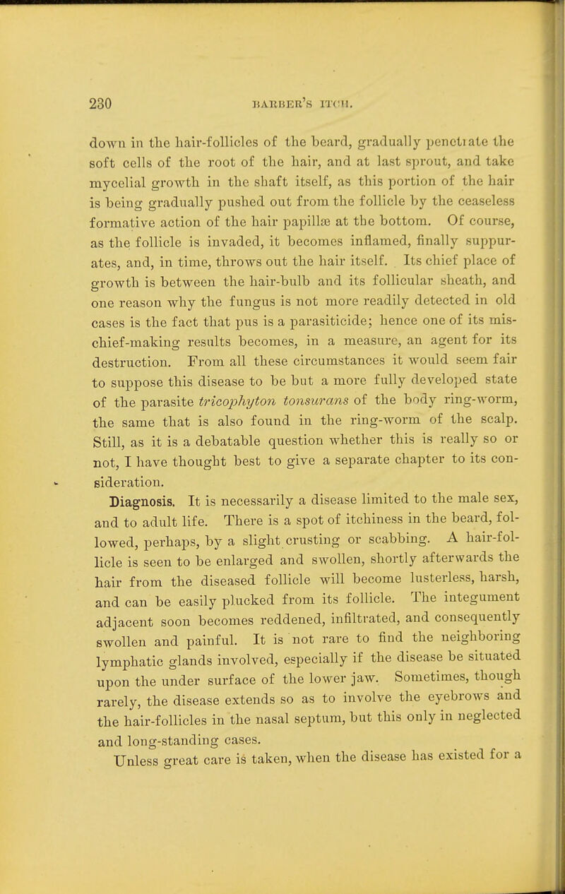 down in the hair-follicles of the beard, gradually penctiate the soft cells of the root of the hair, and at last sprout, and take mycelial growth in the shaft itself, as this portion of the hair is being gradually pushed out from the follicle by the ceaseless formative action of the hair papilla? at the bottom. Of course, as the follicle is invaded, it becomes inflamed, finally suppur- ates, and, in time, throws out the hair itself. Its chief place of growth is between the hair-bulb and its follicular sheath, and one reason why the fungus is not more readily detected in old cases is the fact that pus is a parasiticide; hence one of its mis- chief-making results becomes, in a measure, an agent for its destruction. From all these circumstances it would seem fair to suppose this disease to be but a more fully developed state of the parasite tricophyton tonsurans of the body ring-worm, the same that is also found in the ring-worm of the scalp. Still, as it is a debatable question whether this is really so or not, I have thought best to give a separate chapter to its con- sideration. Diagnosis. It is necessarily a disease limited to the male sex, and to adult life. There is a spot of itchiness in the beard, fol- lowed, perhaps, by a slight crusting or scabbing. A hair-fol- licle is seen to be enlarged and swollen, shortly afterwards the hair from the diseased follicle will become lusterless, harsh, and can be easily plucked from its follicle. The integument adjacent soon becomes reddened, infiltrated, and consequently swollen and painful. It is not rare to find the neighboring lymphatic glands involved, especially if the disease be situated upon the under surface of the lower jaw. Sometimes, though rarely, the disease extends so as to involve the eyebrows and the hair-follicles in the nasal septum, but this only in neglected and long-standing cases. Unless great care is taken, when the disease has existed for a