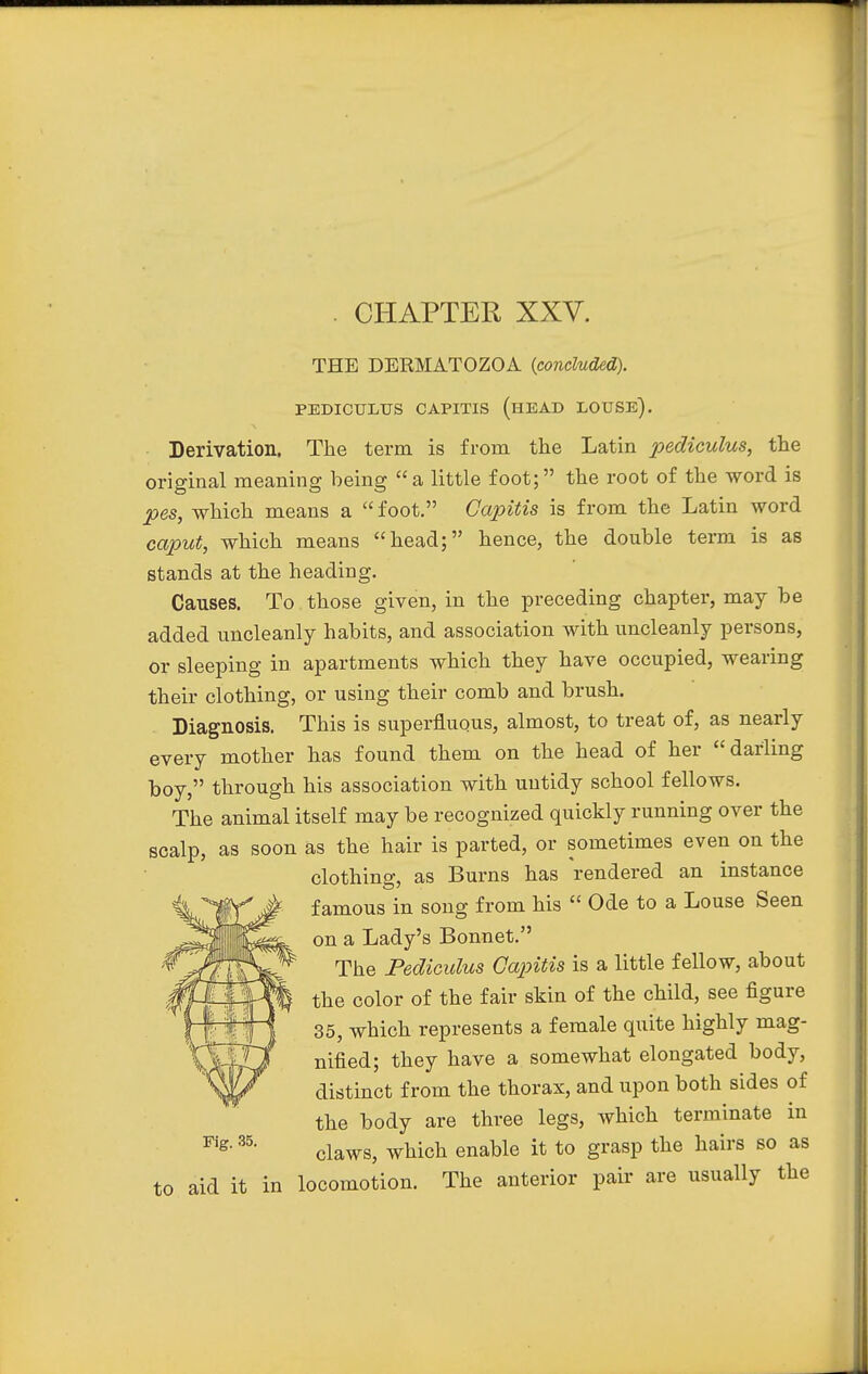 THE DERMATOZOA (concluded). PEDICULUS CAPITIS (HEAD LOUSE). Derivation. The term is from the Latin pediculus, the original meaning being a little foot; the root of the word is pes, which means a foot. Capitis is from the Latin word caput, which means head; hence, the double term is as stands at the heading. Causes. To those given, in the preceding chapter, may be added uncleanly habits, and association with uncleanly persons, Or sleeping in apartments which they have occupied, wearing their clothing, or using their comb and brush. Diagnosis. This is superfluous, almost, to treat of, as nearly every mother has found them on the head of her darling boy, through his association with untidy school fellows. The animal itself may be recognized quickly running over the scalp, as soon as the hair is parted, or sometimes even on the clothing, as Burns has rendered an instance famous in song from his Ode to a Louse Seen on a Lady's Bonnet. The Pediculus Capitis is a little fellow, about the color of the fair skin of the child, see figure 35, which represents a female quite highly mag- nified; they have a somewhat elongated body, distinct from the thorax, and upon both sides of the body are three legs, which terminate in Fig> 35> claws, which enable it to grasp the hairs so as to aid it in locomotion. The anterior pair are usually the