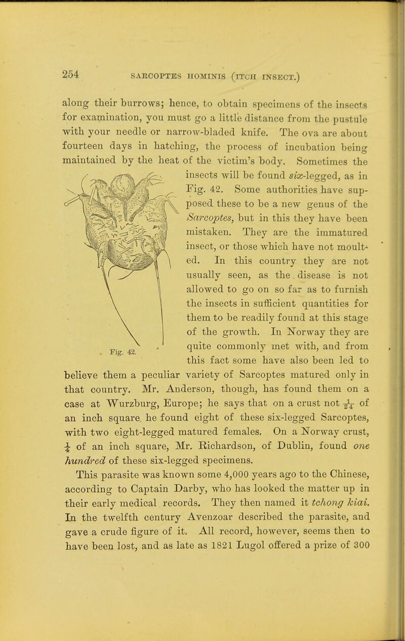 along their burrows; hence, to obtain specimens of the insects for examination, you must go a little distance from the pustule with your needle or narrow-bladed knife. The ova are about fourteen days in hatching, the process of incubation being maintained by the heat of the victim's body. Sometimes the insects will be found s^-legged, as in Fig. 42. Some authorities have sup- posed these to be a new genus of the Sarcoptes, but in this they have been mistaken. They are the immatured insect, or those which have not moult- ed. In this country they are not usually seen, as the. disease is not allowed to go on so far as to furnish the insects in sufficient quantities for them to be readily found at this stage of the growth. In Norway they are quite commonly met with, and from this fact some have also been led to believe them a peculiar variety of Sarcoptes matured only in that country. Mr. Anderson, though, has found them on a case at Wurzburg, Europe; he says that on a crust not of an inch square he found eight of these six-legged Sarcoptes, with two eight-legged matured females. On a Norway crust, £ of an inch square, Mr. Richardson, of Dublin, found one hundred of these six-legged specimens. This parasite was known some 4,000 years ago to the Chinese, according to Captain Darby, who has looked the matter up in their early medical records. They then named it tchong kiai. In the twelfth century Avenzoar described the parasite, and gave a crude figure of it. All record, however, seems then to have been lost, and as late as 1821 Lugol offered a prize of 300