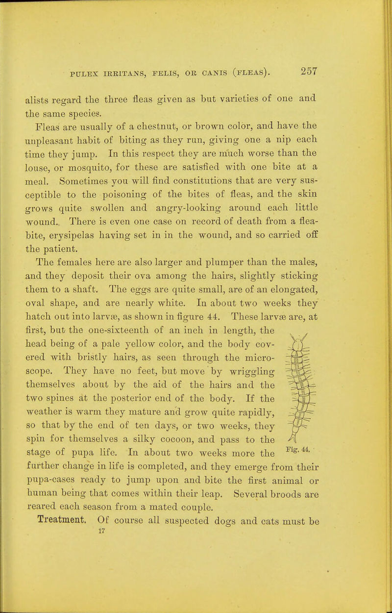 alists regard the three fleas given as but varieties of one and the same species. Fleas are usually of a chestnut, or brown color, and have the unpleasant habit of biting as they run, giving one a nip each time they jump. In this respect they are much worse than the louse, or mosquito, for these are satisfied with one bite at a meal. Sometimes you will find constitutions that are very sus- ceptible to the poisoning of the bites of fleas, and the skin grows quite swollen and angry-looking ai'ound each little wound. There is even one case on record of death from a flea- bite, erysipelas having set in in the wound, and so carried off the patient. The females here are also larger and plumper than the males, and they deposit their ova among the hairs, slightly sticking them to a shaft. The eggs are quite small, are of an elongated, oval shape, and are nearly white. In about two weeks they hatch out into larvae, as shown in figure 44. These larva? are, at first, but the one-sixteenth of an inch in length, the head being of a pale yellow color, and the body cov- ered with bristly hairs, as seen through the micro- scope. They have no feet, but move by wriggling themselves about by the aid of the hairs and the two spines at the posterior end of the body. If the weather is warm they mature and grow quite rapidly, so that by the end of ten days, or two weeks, they spin for themselves a silky cocoon, and pass to the stage of pupa life. In about two weeks more the further change in life is completed, and they emerge from their pupa-cases ready to jump upon and bite the first animal or human being that comes within their leap. Several broods are reared each season from a mated couple. Treatment. Of course all suspected dogs and cats must be 17