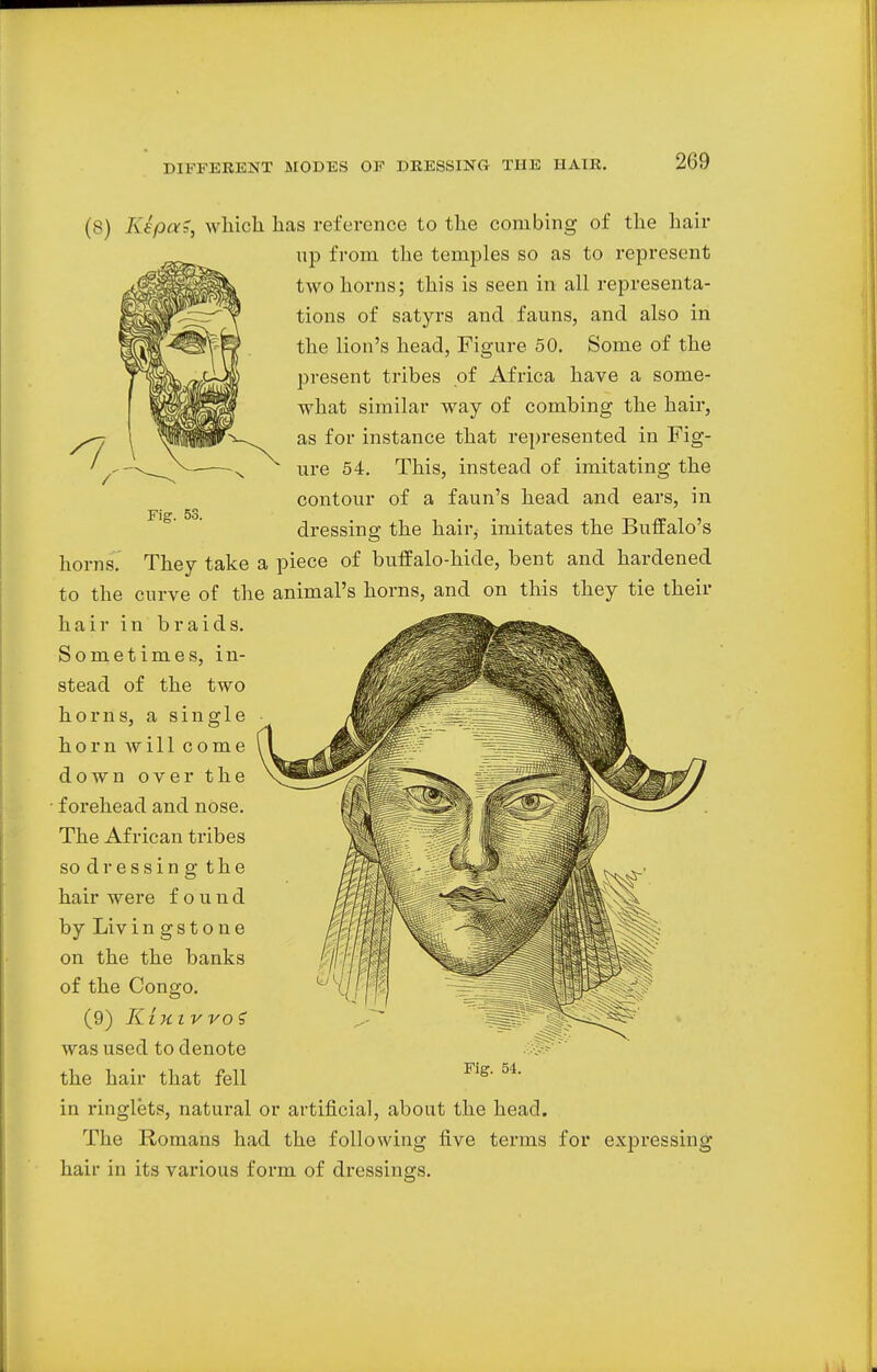 Fig. 53. horns. (8) KepaS, which has reference to the combing of the hair up from the temples so as to represent two horns; this is seen in all representa- tions of satyrs and fauns, and also in the lion's head, Figure 50. Some of the present tribes of Africa have a some- what similar way of combing the hair, as for instance that represented in Fig- ure 54. This, instead of imitating the contour of a faun's head and ears, in dressing the hair^ imitates the Buffalo's They take a piece of buffalo-hide, bent and hardened to the curve of the animal's horns, and on this they tie their hair in braids. Sometimes, in- stead of the two horns, a single horn will come down over the forehead and nose. The African tribes so dressing the hair were found by Livingstone on the the banks of the Congo. (9) Kixivvoi was used to denote the hair that fell in ringlets, natural or artificial, about the head. The Romans had the following five terms for expressing hair in its various form of dressings.