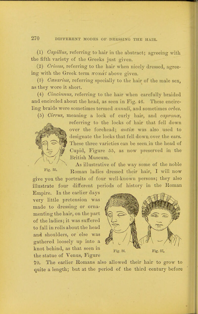 (1) Capittus, referring to hair in the abstract; agreeing with the fifth variety of the Greeks just given. (2) Crinus, referring to the hair when nicely dressed, agree- ing with the Greek term itonai above given. (3) Ccesarius, referring specially to the hair of the male sex, as they wore it short. (4) Cincinnus, referring to the hair when carefully braided and encircled about the head, as seen in Fig. 46. These encirc- ling braids were sometimes termed annuli, and sometimes orbes. (5) Cirrus, meaning a lock of curly hair, and capronce, a* referring to the locks of hair that fell down over the forehead; antice was also used to designate the locks that fell down over the ears. These three varieties can be seen in the head of Cupid, Figure 55, as now preserved in the British Museum. As illustrative of the way some of the noble Fig. 55. Roman ladies dressed their hair, I will now give you the portraits of four well-known persons; they also illustrate four different periods of history in the Roman Empire. In the earlier days very little pretension was made to dressing or orna- menting the hair, on the part of the ladies; it was suffered to fall in rolls about the head and shoulders, or else was gathered loosely up into a knot behind, as that seen in the statue of Venus, Figure 70. The earlier Romans also allowed their hair to grow to quite a length; but at the period of the third century before