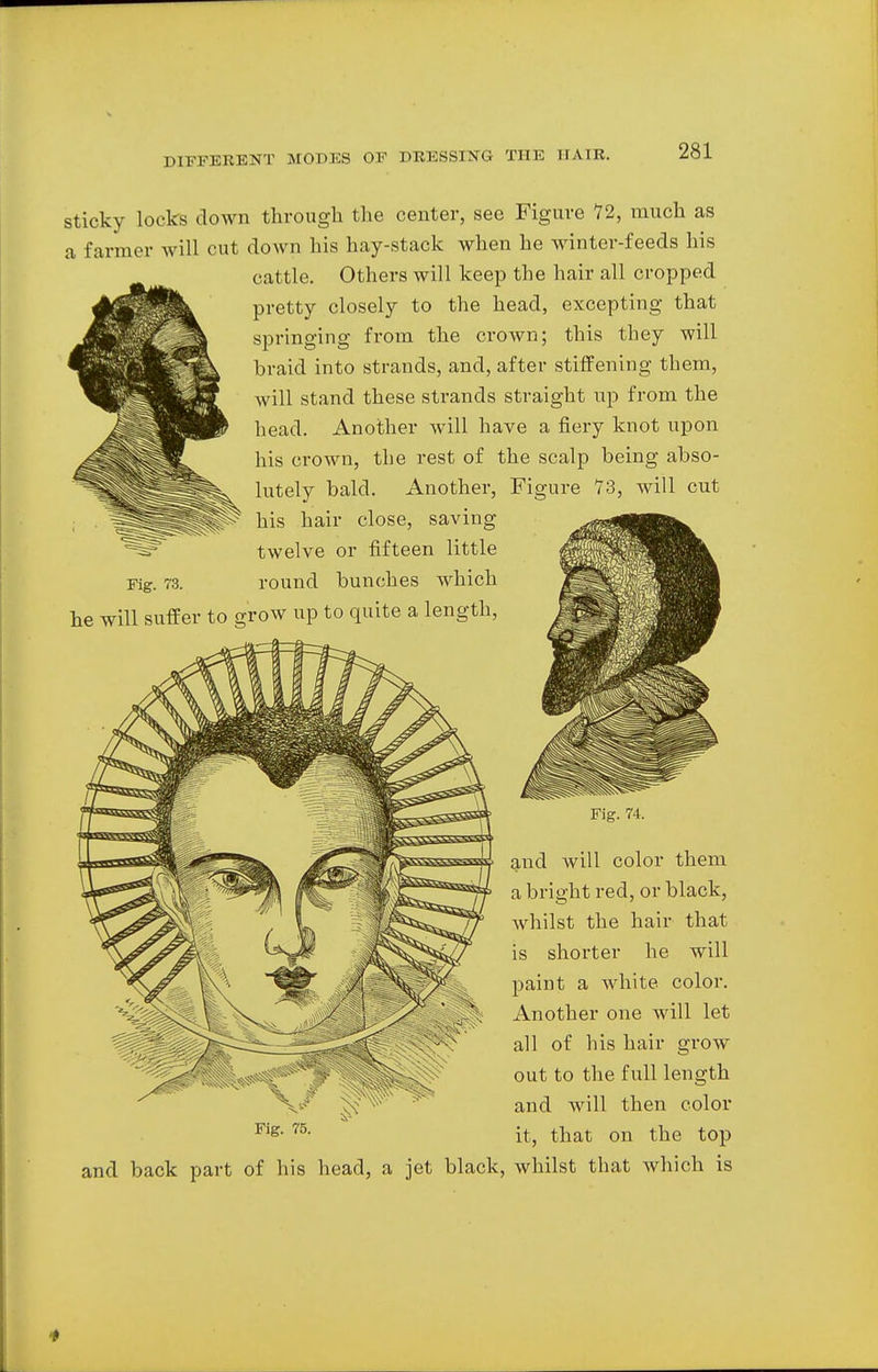 sticky locks down through the center, see Figure 12, much as a farmer will cut down his hay-stack when he winter-feeds his cattle. Others will keep the hair all cropped pretty closely to the head, excepting that springing from the crown; this they will braid into strands, and, after stiffening them, will stand these strands straight up from the head. Another will have a fiery knot upon his crown, the rest of the scalp being abso- lutely bald. Another, Figure 73, will cut his hair close, saving twelve or fifteen little Fig. 73. round bunches which he will suffer to grow up to quite a length, Fig. 75. Fig. 74. and will color them a bright red, or black, whilst the hair that is shorter he will paint a white color. Another one will let all of his hair grow out to the full length and will then color it, that on the top and back part of his head, a jet black, whilst that which is