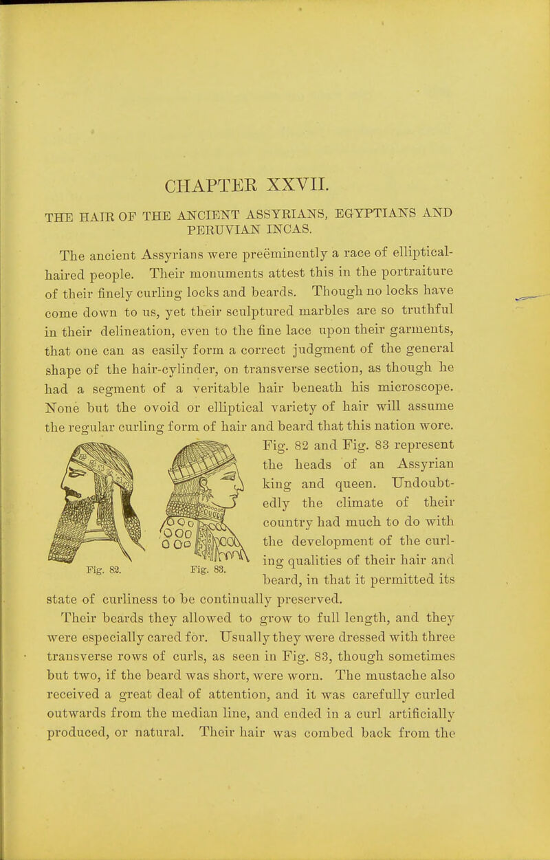 CHAPTER XXVII. THE HAIR OF THE ANCIENT ASSYRIANS, EGYPTIANS AND PERUVIAN INCAS. The ancient Assyrians were preeminently a race of elliptical- haired people. Their monuments attest this in the portraiture of their finely curling locks and beards. Though no locks have come down to us, yet their sculptured marbles are so truthful in their delineation, even to the fine lace upon their garments, that one can as easily form a correct judgment of the general shape of the hair-cylinder, on transverse section, as though he had a segment of a veritable hair beneath his microscope. None but the ovoid or elliptical variety of hair will assume the regular curling form of hair and beard that this nation wore. Fig. 82 and Fig. 83 represent the heads of an Assyrian king and queen. Undoubt- edly the climate of their country had much to do with the development of the cull- ing qualities of their hair and beard, in that it permitted its state of curliness to be continually preserved. Their beards they allowed to grow to full length, and they were especially cared for. Usually they were dressed with three transverse rows of curls, as seen in Fig. 83, though sometimes but two, if the beard was short, were worn. The mustache also received a great deal of attention, and it was carefully curled outwards from the median line, and ended in a curl artificially produced, or natural. Their hair was combed back from the