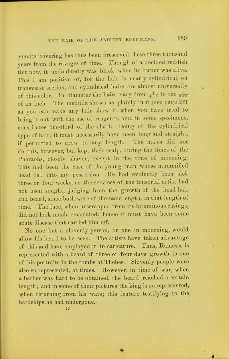 comate covering has thus been preserved these three thousand years from the ravages of time. Though of a decided reddish tint now, it undoubtedly was black when its owner was alive. This I am positive of, for the hair is nearly cylindrical, on transverse section, and cylindrical hairs are almost universally of this color. In diameter the hairs vary from jfa to the ^ of an inch. The medulla shows as plainly in it (see page 28) as you can make any hair show it when you have tried to brino- it out with the use of reagents, and, in some specimens, constitutes one-third of the shaft. Being of the cylindrical type of hair, it must necessarily have been long and straight, if permitted to grow to any length. The males did not do this, however, but kept their scalp, during the times of the Pharaohs, closely shaven, except in the time of mourning. This had been the case of the young man whose mummified head fell into my possession. He had evidently been sick three or four weeks, as the services of the tonsorial artist had not been sought, judging from the growth of the head hair and beard, since both were of the same length, in that length of time. The face, when unwrapped from its bituminous casings, did not look much emaciated; hence it must have been some acute disease that carried him off. No one but a slovenly person, or one in mourning, would allow his beard to be seen. The artists have taken advantage of this and have employed it in caricature. Thus, Rameses is represented with a beard of three or four days' growth in one of his portraits in the tombs at Thebes. Slovenly people were also so represented, at times. However, in time of war, when a barber was hard to be obtained, the beard reached a certain length; and in some of their pictures the king is so represented, when returning from his wars; this feature testifying to the hardships he had undergone, is