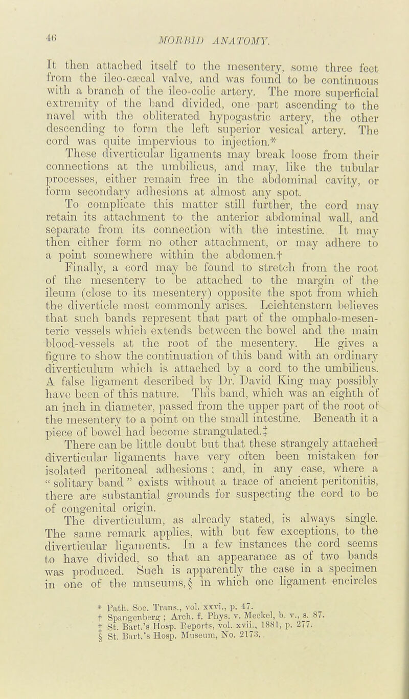 Tt then attached itself to tlio mesentery, some three feet from the ileo-coecal valve, aiid was found to be continuous with a branch of the ilco-colio artery. The more superficial extremity of tlie Ijand divided, one part ascending- to the navel with the obliterated hypogastric artery, the other descending to form the left superior vesical artery. The cord was quite impervious to injection.* These diverticular ligaments may break loose from their ccmnections at the umbilicus, and may, like the tubular processes, either remain free in the abdominal cavity, or form secondary adhesions at ahnost any spot. To complicate this matter still further, the cord may retain its attachment to the anterior abdominal wall, and separate from its connection with the intestine. It may then either form no other attachment, or inay adhere to a point somewhere within the abdomen.f Finally, a cord may be found to stretch from the root of the mesentery to be attached to the margin of the ileum (close to its mesentery) opposite the spot from which the diverticle most commonly arises. Leichtenstern believes that such bands represent that part of the omphalo-raesen- teric vessels which extends between the bowel and the main blood-vessels at the root of the mesenter}^ He gives a figure to show the continuation of this band with an ordinary diverticulum which is attached by a cord to the umbilicus. A false ligament described by Dr. David King may possibly have been of this nature. This band, which was an eighth of an inch in diameter, passed from the upper part of the root of the mesentery to a point on the small intestine. Beneath it a piece of bowel had become strangulated.t There can be little doubt but that these strangely attached diverticular ligaments have very often been mistaken lor isolated peritoneal adhesions: and, in any case, where a  solitary band  exists without a trace of ancient peritonitis, there are substantial grounds for suspecting the cord to bo of congenital origin. The diverticulum, as already stated, is always single. The same reiuark applies, with but few exceptions, to the diverticular ligaments. In a few instances the cord seems to have divided, so that an appearance as of two bands was produced. Such is apparently the case in a specimen in one of the museums, § in which one ligament encircles * Path. Soc. Trans., vol. xxvi., p. 47. t Spangenbero-; Arch. f. Phys. v. Meckel, b. v., s. 87. I St. Bart.'s Hosp. Keports, vol. xvii., 1881, p. 277. § St. Bart.'s Heap. Museum, No. 2173.