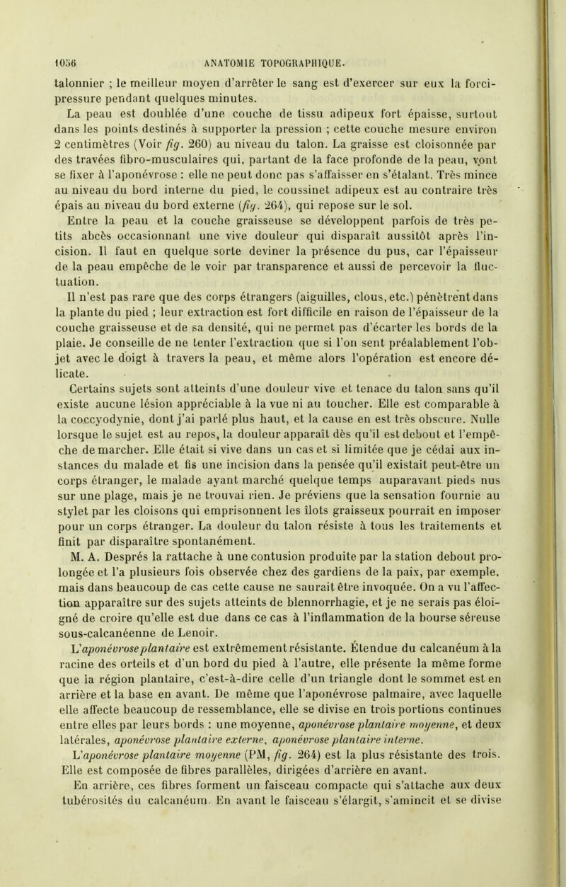 talonnier ; le meilleur moyen d'arrêter le sang est d'exercer sur eux la forci- pressure pendant quelques minutes. La peau est doublée d'une couche de tissu adipeux fort épaisse, surtout dans les points destinés à supporter la pression ; cette couche mesure environ 2 centimètres (Voir fig. 260) au niveau du talon. La graisse est cloisonnée par des travées fibro-musculaires qui, pai tant de la face profonde de la peau, vont se fixer à l'aponévrose : elle ne peut donc pas s'affaisser en s'étalant. Très mince au niveau du bord interne du pied, le coussinet adipeux est au contraire très épais au niveau du bord externe [fiy. 264), qui repose sur le sol. Entre la peau et la couche graisseuse se développent parfois de très pe- tits abcès occasionnant une vive douleur qui disparaît aussitôt après l'in- cision. 11 faut en quelque sorte deviner la présence du pus, car l'épaisseur de la peau empêche de le voir par transparence et aussi de percevoir la fluc- tuation. Il n'est pas rare que des corps étrangers (aiguilles, clous, etc.) pénètrent dans la plante du pied ; leur extraction est fort difficile en raison de l'épaisseur de la couche graisseuse et de sa densité, qui ne permet pas d'écarter les bords de la plaie. Je conseille de ne tenter l'extraction que si l'on sent préalablement l'ob- jet avec le doigt à travers la peau, et même alors l'opération est encore dé- licate. Certains sujets sont atteints d'une douleur vive et tenace du talon sans qu'il existe aucune lésion appréciable à la vue ni au toucher. Elle est comparable à la coccyodynie, dont j'ai parlé plus haut, et la cause en est très obscure. Nulle lorsque le sujet est au repos, la douleur apparaît dès qu'il est debout et l'empê- che démarcher. Elle était si vive dans un cas et si limitée que je cédai aux in- stances du malade et fis une incision dans la pensée qu'il existait peut-être un corps étranger, le malade ayant marché quelque temps auparavant pieds nus sur une plage, mais je ne trouvai rien. Je préviens que la sensation fournie au stylet par les cloisons qui emprisonnent les îlots graisseux pourrait en imposer pour un corps étranger. La douleur du talon résiste à tous les traitements et finit par disparaître spontanément. M. A. Després la rattache à une contusion produite par la station debout pro- longée et l'a plusieurs fois observée chez des gardiens de la paix, par exemple, mais dans beaucoup de cas cette cause ne saurait être invoquée. On a vu l'affec- tion apparaître sur des sujets atteints de blennorrhagie, et je ne serais pas éloi- gné de croire qu'elle est due dans ce cas à l'inflammation de la bourse séreuse sous-calcanéenne de Lenoir. Vaponévroseplantaire esi extrêmement résistante. Étendue du calcanéum à la racine des orteils et d'un bord du pied à l'autre, elle présente la même forme que la région plantaire, c'est-à-dire celle d'un triangle dont le sommet est en arrière et la base en avant. De même que l'aponévrose palmaire, avec laquelle elle affecte beaucoup de ressemblance, elle se divise en trois portions continues entre elles par leurs bords : une moyenne, aponévrose plantaire moijenne, et deux latérales, aponévrose plantaire externe, aponévrose plantaire interne. Vaponévrose plantaiî'e moijenne (PM, fig. 264) est la plus résistante des trois. Elle est composée de fibres parallèles, dirigées d'arrière en avant. En arrière, ces fibres forment un faisceau compacte qui s'attache aux deux tubérosités du calcanéum. En avant le faisceau s'élargit, s'amincit et se divise