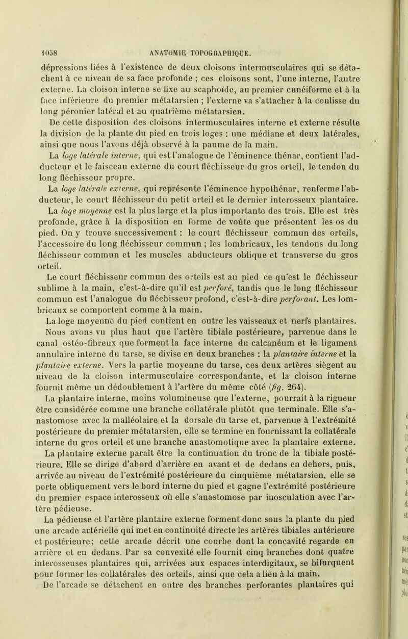 dépressions liées à l'existence de deux cloisons internnusculaires qui se déta- chent à ce niveau de sa face profonde ; ces cloisons sont, l'une interne, l'autre externe. La cloison interne se fixe au scaphoïde, au premier cunéiforme et ù la face inférieure du premier métatarsien ; l'externe va s'attacher à la coulisse du long péronier latéral et au quatrième métatarsien. De cette disposition des cloisons intermusculaires interne et externe résulte la division de la plante du pied en trois loges : une médiane et deux latérales, ainsi que nous l'avons déjà observé à la paume de la main. La loge latérale interne, qui est l'analogue de l'éminence thénar, contient l'ad- ducteur et le faisceau externe du court fiéchisseur du gros orteil, le tendon du long fléchisseur propre. La loge latcra/e externe, qui représente l'éminence hypothénar, renferme l'ab- ducteur, le court iléchisseur du petit orteil et le dernier interosseux plantaire. La loge moyenne est la plus large et la plus importante des trois. Elle est très profonde, grâce h la disposition en forme de voûte que présentent les os du pied. On y trouve successivement : le court fléchisseur commun des orteils, l'accessoire du long fléchisseur commun; les lombricaux, les tendons du long fléchisseur commun et les muscles abducteurs oblique et transverse du gros orteil. Le court fléchisseur commun des orteils est au pied ce qu'est le fléchisseur sublime à la main, c'est-à-dire qu'il est perforé, tandis que le long fléchisseur commun est l'analogue du fléchisseur profond, cesl-b.-dire perforant. Les lom- bricaux se comportent comme à la main. La loge moyenne du pied contient en outre les vaisseaux et nerfs plantaires. Nous avons vu plus haut que l'artère tibiale postérieure, parvenue dans le canal ostéo-fibreux que forment la face interne du calcanéum et le ligament annulaire interne du tarse, se divise en deux branches : la plantaire interne et la plantaire externe. Vers la partie moyenne du tarse, ces deux artères siègent au niveau de la cloison intermusculaire correspondante, et la cloison interne fournit même un dédoublement à l'artère du même côté [fig. 264). La plantaire interne, moins volumineuse que l'externe, pourrait à la rigueur être considérée comme une branche collatérale plutôt que terminale. Elle s'a- nastomose avec la malléolaire et la dorsale du tarse et, parvenue à l'extrémité postérieure du premier métatarsien, elle se termine en fournissant la collatérale interne du gros orteil et une branche anastomotique avec la plantaire externe. La plantaire externe paraît être la continuation du tronc de la tibiale posté- rieure. Elle se dirige d'abord d'arrière en avant et de dedans en dehors, puis, arrivée au niveau de l'extrémité postérieure du cinquième métatarsien, elle se porte obliquement vers le bord interne du pied et gagne l'extrémité postérieure du premier espace interosseux où elle s'anastomose par inosculation avec l'ar- tère pédieuse. La pédieuse et l'artère plantaire externe forment donc sous la plante du pied une arcade artérielle qui met en continuité directe les artères tibiales antérieure et postérieure; cette arcade décrit une courbe dont la concavité regarde en arrière et en dedans. Par sa convexité elle fournit cinq branches dont quatre interosseuses plantaires qui, arrivées aux espaces interdigitaux, se bifurquent pour former les collatérales des orteils, ainsi que cela a lieu à la main. De l'arcade se détachent en outre des branches perforantes plantaires qui