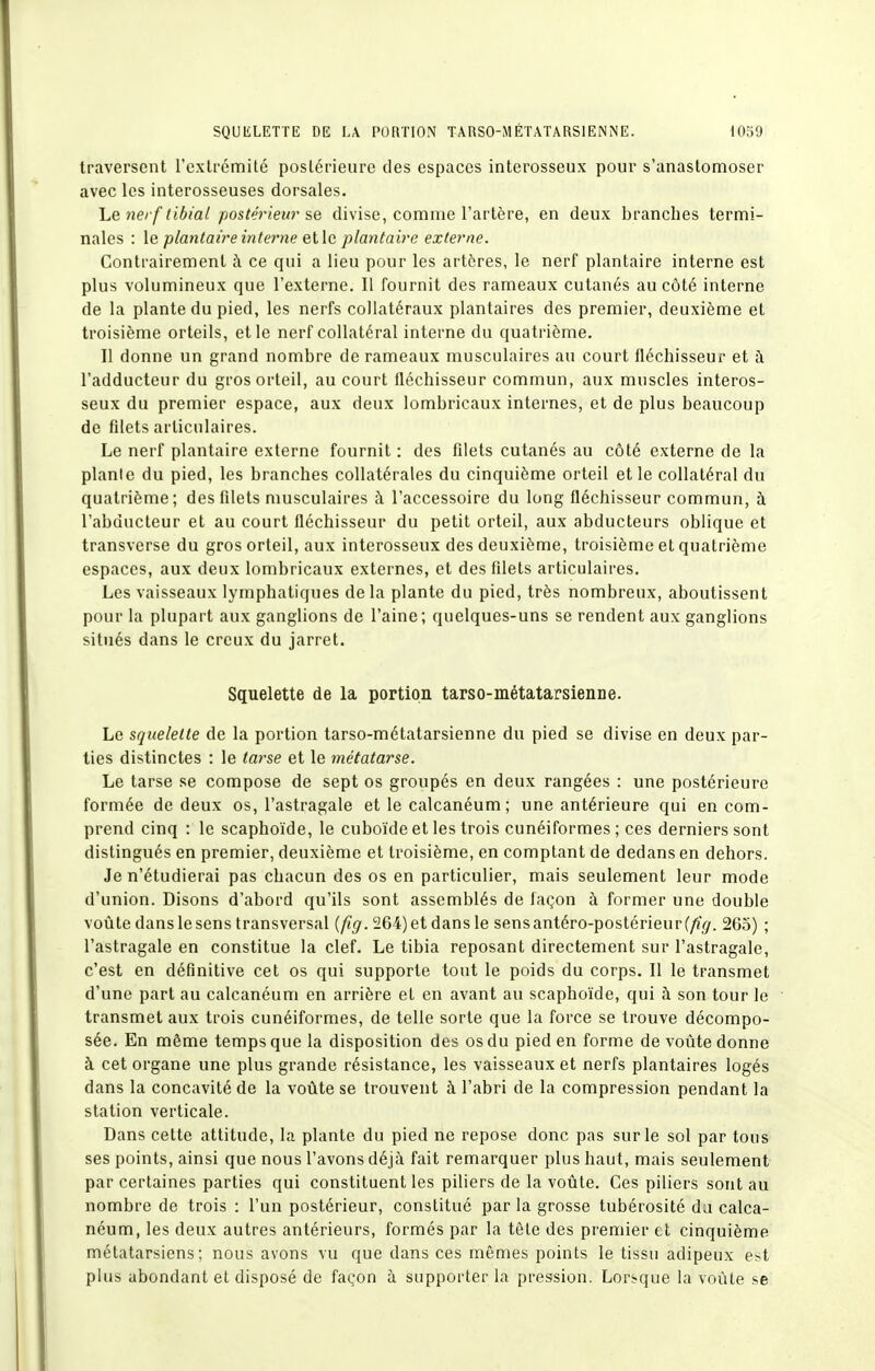 traversent rcxlrcmité poslérieure des espaces interosseux pour s'anastomoser avec les interosseuses dorsales. Le nerf tibiai postérieur se divise, comme l'artère, en deux branches termi- nales : le plantaire interne et le plantaire externe. Contrairement à ce qui a lieu pour les artères, le nerf plantaire interne est plus volumineux que l'externe. Il fournit des rameaux cutanés au côté interne de la plante du pied, les nerfs collatéraux plantaires des premier, deuxième et troisième orteils, et le nerf collatéral interne du quatrième. Il donne un grand nombre de rameaux musculaires au court fléchisseur et à l'adducteur du gros orteil, au court fléchisseur commun, aux muscles interos- seux du premier espace, aux deux lombricaux internes, et de plus beaucoup de filets articulaires. Le nerf plantaire externe fournit : des filets cutanés au côté externe de la plante du pied, les branches collatérales du cinquième orteil et le collatéral du quatrième; des filets musculaires à l'accessoire du long fléchisseur commun, à l'abducteur et au court fléchisseur du petit orteil, aux abducteurs oblique et transverse du gros orteil, aux interosseux des deuxième, troisième et quatrième espaces, aux deux lombricaux externes, et des filets articulaires. Les vaisseaux lymphatiques delà plante du pied, très nombreux, aboutissent pour la plupart aux ganglions de l'aine; quelques-uns se rendent aux ganglions situés dans le creux du jarret. Squelette de la portion tarso-métatarsienne. Le squelette de la portion tarso-métatarsienne du pied se divise en deux par- ties distinctes : le tai^se et le métatarse. Le tarse se compose de sept os groupés en deux rangées : une postérieure formée de deux os, l'astragale et le calcanéum ; une antérieure qui en com- prend cinq : le scaphoïde, le cuboïde et les trois cunéiformes ; ces derniers sont distingués en premier, deuxième et troisième, en comptant de dedans en dehors. Je n'étudierai pas chacun des os en particulier, mais seulement leur mode d'union. Disons d'abord qu'ils sont assemblés de façon à former une double voûte dans le sens transversal (/«p'. 264) et dans le sensantéro-postérieur(^</. 265) ; l'astragale en constitue la clef. Le tibia reposant directement sur l'astragale, c'est en définitive cet os qui supporte tout le poids du corps. Il le transmet d'une part au calcanéum en arrière et en avant au scaphoïde, qui à son tour le transmet aux trois cunéiformes, de telle sorte que la force se trouve décompo- sée. En même temps que la disposition des os du pied en forme de voûte donne à cet organe une plus grande résistance, les vaisseaux et nerfs plantaires logés dans la concavité de la voûte se trouvent à l'abri de la compression pendant la station verticale. Dans cette attitude, la plante du pied ne repose donc pas sur le sol par tous ses points, ainsi que nous l'avons déjà fait remarquer plus haut, mais seulement par certaines parties qui constituent les piliers de la voûte. Ces piliers sont au nombre de trois : l'un postérieur, constitué par la grosse tubérosité da calca- néum, les deux autres antérieurs, formés par la tête des premier et cinquième métatarsiens; nous avons vu que dans ces mêmes points le tissu adipeux est plus abondant et disposé de façon à supporter la pression. Lorsque la voûte se