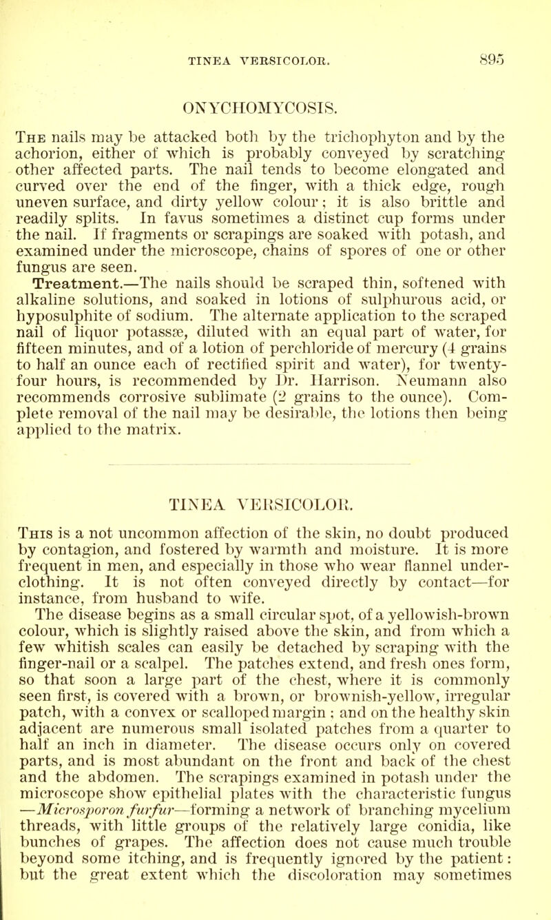 ONYCHOMYCOSIS. The nails may be attacked botli by the trichophyton and by the achorion, either of which is probably conveyed by scratching other affected parts. The nail tends to become elongated and curved over the end of the finger, with a thick edge, rough uneven surface, and dirty yellow colour; it is also brittle and readily splits. In favus sometimes a distinct cup forms under the nail. If fragments or scrapings are soaked with potash, and examined under the microscope, chains of spores of one or other fungus are seen. Treatment.—The nails should be scraped thin, softened with alkaline solutions, and soaked in lotions of sulphurous acid, or hyposulphite of sodium. The alternate application to the scraped nail of liquor potassae, diluted with an equal part of water, for fifteen minutes, and of a lotion of perchloride of mercury (4 grains to half an ounce each of rectified spirit and water), for twenty- four hours, is recommended by Dr. Harrison. Neumann also recommends corrosive sublimate (L^ grains to the ounce). Com- plete removal of the nail may be desiralilc, the lotions then being applied to the matrix. TINEA VEKSICOLOR. This is a not uncommon affection of the skin, no doubt produced by contagion, and fostered by warmth and moisture. It is more frequent in men, and especially in those who wear flannel under- clothing. It is not often conveyed directly by contact—for instance, from husband to wife. The disease begins as a small circular spot, of a yellowish-brown colour, which is slightly raised above the skin, and from which a few whitish scales can easily be detached by scraping with the finger-nail or a scalpel. The patches extend, and fresh ones form, so that soon a large part of the chest, where it is commonly seen first, is covered with a brown, or brownish-yelloAv, irregular patch, with a convex or scalloped margin ; and on the healthy skin adjacent are numerous small isolated patches from a quarter to half an inch in diameter. The disease occurs only on covered parts, and is most abundant on the front and back of the chest and the abdomen. The scrapings examined in potash under the microscope show epithelial plates with the characteristic fungus —Microsj^oron furfur—forming a network of branching mycelium threads, with little groups of the relatively large conidia, like bunches of grapes. The affection does not cause much trouble beyond some itching, and is frequently ignored by the patient: but the great extent which the discoloration may sometimes