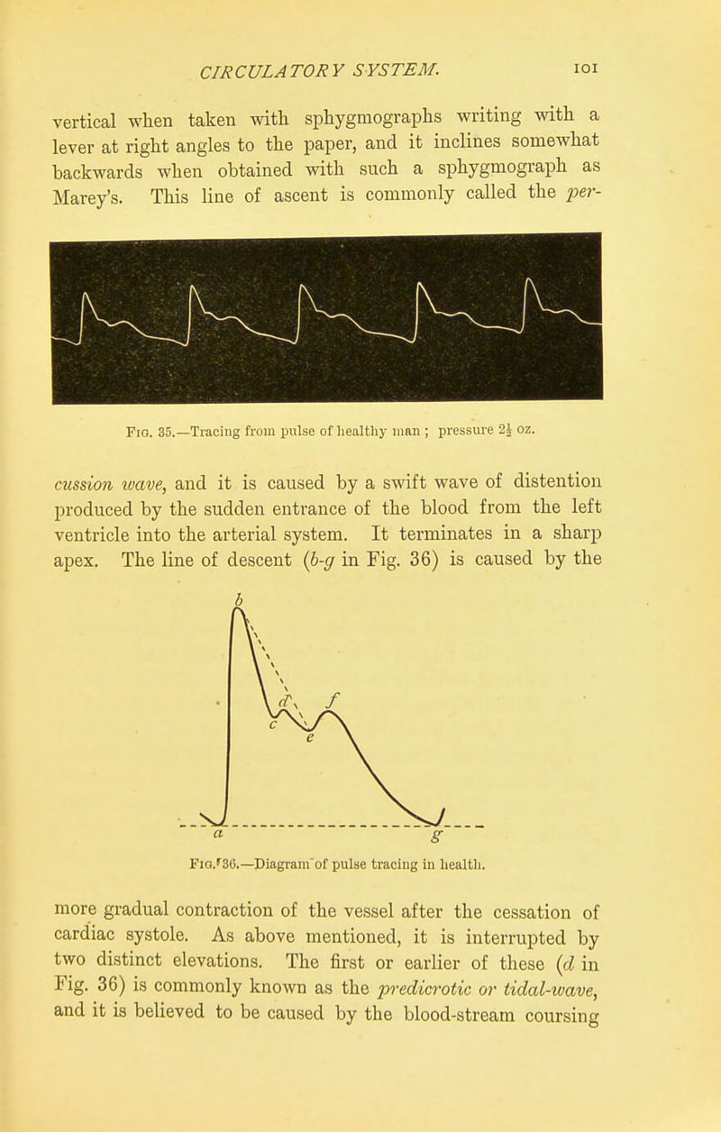 vertical when taken with sphygmographs writing with a lever at right angles to the paper, and it inclines somewhat backwards when obtained with such a sphygmograph as Marey's. This line of ascent is commonly called the per- Fio. 35.—Tracing from pulse of liealthy man ; pressure 2^ oz. cussion ivave, and it is caused by a swift wave of distention produced by the sudden entrance of the blood from the left ventricle into the arterial system. It terminates in a sharp apex. The line of descent (b-g in Fig. 36) is caused by the b Fia.'se.—Diagram'of pulse tracing in liealtli. more gradual contraction of the vessel after the cessation of cardiac systole. As above mentioned, it is interrupted by two distinct elevations. The first or earlier of these {d in Fig. 36) is commonly known as the predicrotic or tidal-wave, and it is believed to be caused by the blood-stream coursing