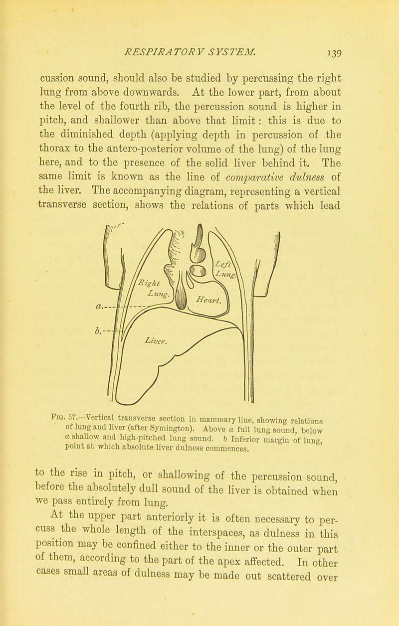 cussion sound, should also be studied by percussing the right lung from above downwards. At the lower part, from about the level of the fourth rib, the jDercussion sound is higher in pitch, and shallower than above that limit: this is due to the diminished depth (applying depth in percussion of the thorax to the antero-posterior volume of the lung) of the lung here, and to the presence of the solid liver behind it. The same limit is known as the line of comparative dulness of the liver. The accompanying diagram, representing a vertical transverse section, shows the relations of parts which lead 57.—Vertical transverse section in mammary line, showing relations of lung and liver (after Symington). Above a full lung sound, below a shaUow and liigli-pitched lung sound. 6 Inferior margin of lung, point at which absolute liver duliiess commences. to the rise in pitch, or shallowing of the percussion sound, before the absolutely dull sound of the liver is obtained when we pass entirely from lung. At the upper part anteriorly it is often necessary to per- cuss the whole length of the interspaces, as dulness in this position may be confined either to the inner or the outer part of them, according to the part of the apex affected. In other cases small areas of dulness may be made out scattered over