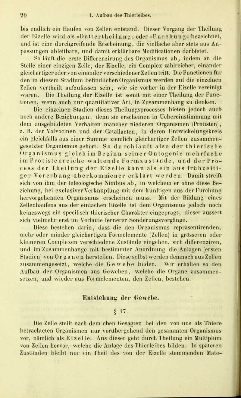 bis endlich ein Haufen von Zellen entstand. Dieser Vorgang der Theilung der Eizelle wird als »Dottertkeilung« oder »Furchung« bezeichnet, und ist eine durchgreifende Erscheinung, die vielfache aber stets aus An- passungen ableitbare, und damit erklärbare Modificationen darbietet. So läuft die erste Differenzirung des Organismus ab, indem an die Stelle einer einzigen Zelle, der Eizelle, ein Complex zahlreicher, einander gleichartiger oder von einander verschiedener Zellen tritt. Die Functionen für den in diesem Stadium befindlichen Organismus werden auf die einzelnen Zellen vertheilt aufzufassen sein, wie sie vorher in der Eizelle vereinigt waren. Die Theilung der Eizelle ist somit mit einer Theilung der Func- tionen, wenn auch nur quantitativer Art, in Zusammenhang zu denken. Die einzelnen Stadien dieses Theilungsprocesses bieten jedoch auch noch andere Beziehungen, denn sie erscheinen in Uebereinstimmung mit dem ausgebildeten Verhalten mancher niederen Organismen (Protisten), z. B. der Volvocinen und der Catallacten, in deren Entwickelungskreis ein gleichfalls aus einer Summe ziemlich gleichartiger Zellen zusammen- gesetzter Organismus gehört. So durchläuft also der thierische Organismus gleich im Beginn seiner0ntogenie mehrfache im Protiste nreiche waltende Formz ustände, und derPro- cess der Theilung der Eizelle kann als ein aus frühzeiti- ger Vererbung überkommener erklärt werden. Damit streift sich von ihm der teleologische Nimbus ab, in welchem er ohne diese Be- ziehung, bei exclusiver Verknüpfung mit dem künftigen aus der Furchung hervorgehenden Organismus erscheinen muss. Mit der Bildung eines Zellenhaufens aus der einfachen Eizelle ist dem Organismus jedoch noch keineswegs ein specifisch thierischer Charakter eingeprägt-, dieser äussert sich vielmehr erst im Verlaufe fernerer Sonderungsvorgänge. Diese bestehen darin, dass die den Organismus repräsentirenden, mehr oder minder gleichartigen Formelemente (Zellen) in grösseren oder kleineren Complexen verschiedene Zustände eingehen, sich differenziren, und im Zusammenhange mit bestimmter Anordnung die Anlagen (ersten Stadien) von Organen herstellen. Diese selbst werden demnach aus Zellen zusammengesetzt, welche die Gewebe bilden. Wir erhallen so den Aufbau der Organismen aus Geweben, welche die Organe zusammen- setzen, und wieder aus Formelementen, den Zellen, bestehen. Entstehung der Gewebe. § 17. Die Zelle stellt nach dem oben Gesagten bei den von uns als Thiere betrachteten Organismen nur vorübergehend den gesammten Organismus vor, nämlich als Eizelle. Aus dieser geht durch Theilung ein Multiplum von Zellen hervor, welche die Anlage des Thierleibes bilden. In späteren Zuständen bleibt nur ein Theil des von der Eizelle stammenden Mate-