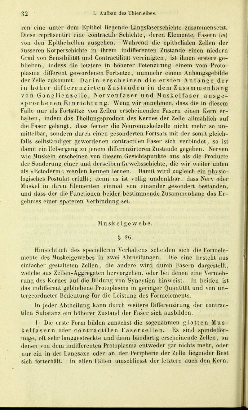 ren eine unter dem Epithel liegende Längsfaserschichte zusammensetzt. Diese repräsentirt eine contractile Schichte, deren Elemente, Fasern (m) von den Epithelzellen ausgehen. Während die epithelialen Zellen der äusseren Körperschichte in ihrem indifferenten Zustande einen niedern Grad von Sensibilität und Contractilität vereinigten, ist ihnen erstere ge- blieben, indess die letztere in höherer Potenzirung einem vom Proto- plasma different gewordenen Fortsatze, nunmehr einem Anhangsgebilde der Zelle zukommt. Darin erscheinen die ersten Anfänge der in höher differenzirten Zuständen in dem Zusammenhang von Ganglienzelle, Nervenfaser und Muskelfaser ausge- sprochenen Einrichtung. Wenn wir annehmen, dass die in diesem Falle nur als Fortsätze von Zellen erscheinenden Fasern einen Kern er- halten, indem das Theilungsproduct des Kernes der Zelle allmählich auf die Faser gelangt, dass ferner die Neuromuskelzelle nicht mehr so un- mittelbar, sondern durch einen gesonderten Fortsatz mit der somit gleich- falls selbständiger gewordenen contractilen Faser sich verbindet, so ist damit einUebergang zu jenem differenzirteren Zustande gegeben. Nerven wie Muskeln erscheinen von diesem Gesichtspunkte aus als die Producte der Sonderung einer und derselben Gewebsschichte, die wir weiter unten als »Ectoderm« werden kennen lernen. Damit wird zugleich ein physio- logisches Postulat erfüllt; denn es ist völlig undenkbar, dass Nerv oder Muskel in ihren Elementen einmal von einander gesondert bestanden, und dass der die Functionen beider bestimmende Zusammenhang das Er- gebniss einer späteren Verbindung sei. Muskelgewebe. § 26. • Hinsichtlich des specielleren Verhaltens scheiden sich die Formele- mente des Muskelgewebes in zwei Abtheilungen. Die eine besteht aus einfacher gestalteten Zellen, die andere wird durch Fasern dargestellt, welche aus Zellen-Aggregaten hervorgehen, oder bei denen eine Vermeh- rung des Kernes auf die Bildung von Syncytien hinweist. In beiden ist das indifferent gebliebene Protoplasma in geringer Quantität und von un- tergeordneter Bedeutung für die Leistung des Formelements. In jeder Abtheilung kann durch weitere Differenzirung der contrac- tilen Substanz ein höherer Zustand der Faser sich ausbilden. Ij Die erste Form bilden zunächst die sogenannten glatten Mus- kelfasern oder contractilen Faserzellen. Es sind spindelför- mige, oft sehr langgestreckte und dann bandartig erscheinende Zellen, an denen von dem indifferenten Protoplasma entweder gar nichts mehr, oder nur ein in der Längsaxe oder an der Peripherie der Zelle liegender Rest sich forterhält. In allen Fällen umschliesst der letztere auch den Kern.