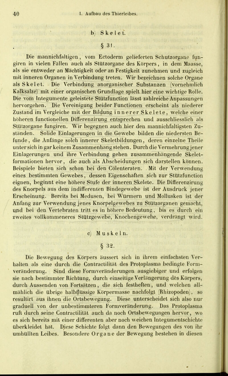 b) Skelet. §31. Die mannichfaltigen, vom Ectoderm gelieferten Schutzorgane fun- giren in vielen Fällen auch als Stützorgane des Körpers, in dem Maasse, als sie entweder an Mächtigkeit oder an Festigkeit zunehmen und zugleich mit inneren Organen in Verbindung treten. Wir bezeichnen solche Organe als Skelet. Die Verbindung anorganischer Substanzen (vornehmlich Kalksalze) mit einer organischen Grundlage spielt hier eine wichtige Rolle. Die vom Integumente geleistete Stützfunction lässt zahlreiche Anpassungen hervorgehen. Die Vereinigung beider Functionen erscheint als niederer Zustand im Vergleiche mit der Bildung innerer Skelete, welche einer höheren functionellen Differenzirung entsprechen und ausschliesslich als Stützorgane fungiren. Wir begegnen auch hier den mannichfaltigsten Zu- ständen. Solide Einlagerungen in die Gewebe bilden die niedersten Be- funde, die Anfänge solch innerer Skeletbildungen, deren einzelne Theile untersich in gar keinem Zusammenhangstehen. Durch die Vermehrung jener Einlagerungen und ihre Verbindung gehen zusammenhängende Skelet- formationen hervor, die auch als Abscheidungen sich darstellen können. Beispiele bieten sich schon bei den Cölenteraten. . Mit der Verwendung eines bestimmten Gewebes, dessen Eigenschaften sich zur Stützfunction eignen, beginnt eine höhere Stufe der inneren Skelete. Die Differenzirung des Knorpels aus dem indifferenten Bindegewebe ist der Ausdruck jener Erscheinung. Bereits bei Medusen, bei Würmern und Mollusken ist der Anfang zur Verwendung jenes Knorpelgewebes zu Stützorganen gemacht, u,nd bei den Vertebraten tritt es in höhere Bedeutung, bis es durch ein zweites vollkommeneres Stiitzgewebe, Knochengewebe, verdrängt wird. c) Muskeln. § 32. Die Bewegung des Körpers äussert sich in ihrem einfachsten Ver- halten als eine durch die Contractilität des Protoplasma bedingte Form- veränderung. Sind diese Formveränderungen ausgiebiger und erfolgen sie nach bestimmter Richtung, durch einseitige Verlängerung des Körpers, durch Aussenden von Fortsätzen, die sich festheften, und welchen all- mählich die übrige halbflüssige Körpermasse nachfolgt (Rhizopoden). so resultirt aus ihnen die Ortsbewegung. Diese unterscheidet sich also nur graduell von der unbestimmteren Formveränderung. Das Protoplasma ruft durch seine Contractilität auch da noch Ortsbewegungen hervor, wo es sich bereits mit einer differenten aber noch weichen Integumentschichte überkleidet hat. Diese Schichte folgt dann den Bewegungen des von ihr umhüllten Leibes. Besondere Organe der Bewegung bestehen in diesen