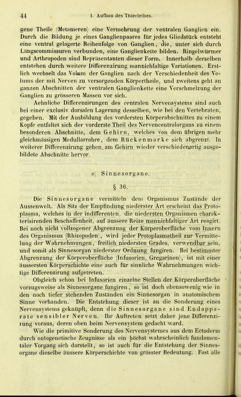 gene Theile (Metameren) eine Vermehrung der ventralen Ganglien ein. Durch die Bildung je eines Ganglienpaares für jedes Gliedstück entsteht eine ventral gelagerte Reihenfolge von Ganglien , die, unter sich durch Längscommissuren verbunden, eine Ganglienkelte bilden. Ringehvürmer und Arthropoden sind Repräsentanten dieser Form. Innerhalb derselben entstehen durch weitere Differenzirung mannichfaltige Variationen. Erst- lich wechselt das Volum der Ganglien nach der Verschiedenheit des Vo- lums der mit Nerven zu versorgenden Körpertheile, und zweitens geht an ganzen Abschnitten der ventralen Ganglienkette eine Verschmelzung der Ganglien zu grösseren Massen vor sich. Aehnliche Differenzirungen des centralen Nervensystems sind auch bei einer exclusiv dorsalen Lagerung desselben, wie bei den Vertebraten, gegeben. Mit der Ausbildung des vordersten Körperabschnittes zu einem Kopfe entfaltet sich der vorderste Theil des Nervencentralorgans zu einem besonderen Abschnitte, dem Gehirn, welches von dem übrigen mehr gleichmässigen Medullarrohre, dem Rückenmarke sich abgrenzt. In weiterer Differenzirung gehen, am Gehirn wieder verschiedenartig ausge- bildete Abschnitte hervor. e) Sinnesorgane. § 36. Die Sinnesorgane vermitteln dem Organismus Zustände der Aussenwelt. Als Sitz der Empfindung niederster Art erscheint das Proto- plasma, welches in der indifferenten, die niedersten Organismen charok- terisirenden Beschaffenheit, auf äussere Reize mannichfaltiger Art reagirt. Bei noch nicht vollzogener Abgrenzung der Körperoberfläche vom Innern des Organismus (Rhizopodenj, wird jeder Protoplasmatheil zur Vermitte- lung der Wahrnehmungen, freilich niedersten Grades, verwendbar sein, und somit als Sinnesorgan niederster Ordnung fungiren. Bei bestimmter Abgrenzung der Körperoberfläche (Infusorien, Gregarinen) , ist mit einer äussersten Körperschichte eine auch für sinnliche Wahrnehmungen wich- tige Differenzirung aufgetreten. Obgleich schon bei Infusorien einzelne Stellen der Körperoberfläche vorzugsweise als Sinnesorgane fungiren, so ist doch ebensowenig wie in den noch tiefer stehenden Zuständen ein Sinnesorgan in anatomischem Sinne vorhanden. Die Entstehung dieser ist an die Sonderung eines Nervensystems geknüpft, denn die Sinnesorgane sind Endappa- rate sensibler Nerven. Ihr Auftreten setzt daher jene Differenzi- rung voraus, deren oben beim Nervensystem gedacht ward. Wie die primitive Sonderung des Nervensystemes aus dem Ectoderm durch ontogenetische Zeugnisse als ein höchst wahrscheinlich fundamen- taler Vorgang sich darstellt, so ist auch für die Entstehung der Sinnes- organe dieselbe äussere Körperschichte von grösster Bedeutung. Fast alle