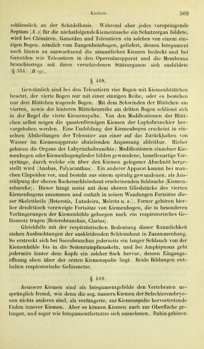 schliesslich an der Schädelbasis. Während aber jedes vorspringende Septum (A.s) für die nächstfolgende Kiementasche ein Schutzorgan bildete, wird bei Chimären, Ganoiden und Teleosliern ein solches von einem ein- zigen Bogen; nämlich vom Zungenbeinbogen, geliefert, dessen Integument nach hinten zu auswachsend die sämmtlichen Kiemen bedeckt und bei Ganoiden wie Teleostiern in den Opercularapparat und die Membrana branchiostega mit ihren verschiedenen Stützorganen sich ausbildete (§ 354) (Bop). § 408. Gewöhnlich sind bei den Teleostiern vier Bogen mit Kiemenblättchen besetzt, der vierte Bogen nur mit einer einzigen Reihe, oder es bestehen nur drei Blättchen tragende Bogen. Mit dem Schwinden der Blättchen am vierten, sowie der hinteren Blättchenreihe am dritten Bogen schliesst sich in der Regel die vierte Kiemenspalte. Von den Modificationen der Blätt- chen selbst mögen die quastenförmigen Kiemen der Lophobranchier her- vorgehoben werden. Eine Umbildung der Kiemenbogen erscheint in ein- zelnen Abtheilungen der Teleostier aus einer auf das Zurückhalten von Wasser im Kiemenapparate abzielenden Anpassung ableitbar. Hieher gehören die Organe der Labyrinthobranchia; Modificationen einzelner Kie- menbogen oderKiemenbogenglieder bilden gewundene, lamellenartige Vor- sprünge, durch welche ein über den Kiemen gelegener Abschnitt herge- stellt wird (Anabas, Polyacanthus). Ein anderer Apparat kommt bei man- chen Clupeiden vor, und besteht aus einem spiralig gewundenen, als Aus- stülpung der oberen Rachenschleimhaut erscheinenden Schlauche (Kiemen- schnecke). Dieser hängt meist mit dem oberen Gliedstücke des vierten Kiemenbogens zusammen und enthält in seinen Wandungen Fortsätze die- ser Skeletlheile (Heterotis, Lutodeira, Meletta u.a.). Ferner gehören hier- her dendritisch verzweigte Fortsätze von Kiemenbogen, die in besonderen Verlängerungen der Kiemenhöhle geborgen noch ein respiratorisches Ge- fässnetz tragen (Heterobranchus, Ciarias). Gleichfalls mit der respiratorischen Bedeutung dieser Räumlichkeit stehen Ausbuchtungen der auskleidenden Schleimhaut in Zusammenhang. So erstreckt sich bei Saccobranchus jederseits ein langer Schlauch von der Kiemenhöhle bis in die Seitenrumpfmuskeln, und bei Amphipnous geht jederseits hinter dem Kopfe ein solcher Sack hervor, dessen Eingangs- öffnung oben über der ersten Kiemenspalte liegt. Beide Bildungen ent- halten respiratorische Gefässnetze. § 409. Aeussere Kiemen sind als Integumentgebilde den Vertebraten ur- sprünglich fremd, wie denn die sog. äussern Kiemen der Selachierembryo- nen nichts anderes sind, als verlängerte, zur Kiemenspalte hervortretende Fäden innerer Kiemen. Aber es können Kiemen auch zur Oberfläche ge- langen, und sogar wie Integument fortsälze sich ausnehmen. Dahin gehören