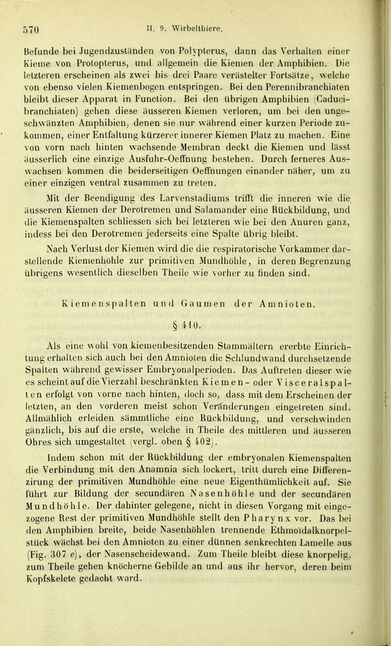 Befunde bei Jugendzuständen von Polypterus, dann das Verhalten einer Kieme von Protopterus, und allgemein die Kiemen der Amphibien. Die letzteren erscheinen als zwei bis drei Paare verästelter Fortsätze, welche von ebenso vielen Kiemenbogen entspringen. Bei den Perennibranchiaten bleibt dieser Apparat in Function. Bei den übrigen Amphibien (Caduci- branchiaten) gehen diese äusseren Kiemen verloren, um bei den unge- schwänzten Amphibien; denen sie nur während einer kurzen Periode zu- kommen, einer Entfaltung kürzerer innerer Kiemen Platz zu machen. Eine von vorn nach hinten wachsende Membran deckt die Kiemen und lässt äusserlich eine einzige Ausfuhr-Oeffnung bestehen. Durch ferneres Aus- wachsen kommen die beiderseitigen Oeffnungen einander näher, um zu einer einzigen ventral zusammen zu treten. Mit der Beendigung des Larvenstadiums trifft die inneren wie die äusseren Kiemen der Derotremen und Salamander eine Rückbildung, und die Kiemenspalten schliessen sich bei letzteren wie bei den Anuren ganz, indess bei den Derotremen jederseits eine Spalte übrig bleibt. Nach Verlust der Kiemen wird die die respiratorische Vorkammer dar- stellende Kiemenhöhle zur primitiven Mundhöhle, in deren Begrenzung übrigens wesentlich dieselben Theile wie vorher zu finden sind. Kiemenspalten und Gaumen der Amnioten. § 410. Als eine wohl von kiemenbesitzenden Stammältern ererbte Einrich- tung erhalten sich auch bei den Amnioten die Schlundwand durchsetzende Spalten während gewisser Embryonalperioden. Das Auftreten dieser wie es scheintauf die Vierzahl beschränkten Kiemen - oder Visceral spal- ten erfolgt von vorne nach hinten, doch so; dass mit dem Erscheinen der letzten, an den vorderen meist schon Veränderungen eingetreten sind. Allmählich erleiden sämmtliche eine Rückbildung, und verschwinden gänzlich, bis auf die erste, welche in Theile des mittleren und äusseren Ohres sich umgestaltet (vergl. oben § 402). Indem schon mit der Rückbildung der embryonalen Kiemenspalten die Verbindung mit den Anamnia sich lockert, tritt durch eine Differen- zirung der primitiven Mundhöhle eine neue Eigenthümlichkeit auf. Sie führt zur Bildung der secundären Nasenhöhle und der secundären Mundhöhle. Der dahinter gelegene, nicht in diesen Vorgang mit einge- zogene Rest der primitiven Mundhöhle stellt den Pharynx vor. Das bei den Amphibien breite, beide Nasenhöhlen trennende Ethmoidalknorpel- stück wächst bei den Amnioten zu einer dünnen senkrechten Lamelle aus (Fig. 307 e), der Nasenscheidewand. Zum Theile bleibt diese knorpelig, zum Theile gehen knöcherne Gebilde an und aus ihr hervor, deren beim Kopfskelete gedacht ward.
