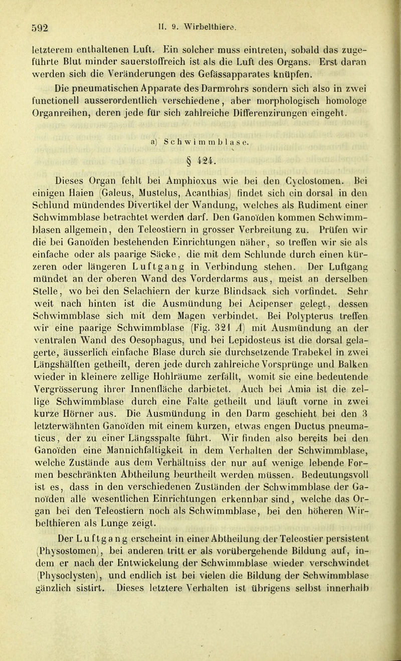 letzterem enthaltenen Luft. Ein solcher muss eintreten, sobald das zuge- führte Blut minder sauerstoffreich ist als die Luft des Organs. Erst daran werden sich die Veränderungen des Gefässapparates knüpfen. Die pneumatischen Apparate des Darmrohrs sondern sich also in zwei functionell ausserordentlich verschiedene, aber morphologisch homologe Organreihen, deren jede für sich zahlreiche Differenzirungen eingeht. a) Schwimmblase. § 424. Dieses Organ fehlt bei Amphioxus wie bei den Cyclostomen. Bei einigen Haien (Galeus, Mustelus, Acanthias) findet sich ein dorsal in den Schlund mündendes Divertikel der Wandung, welches als Rudiment einer Schwimmblase betrachtet werden darf. Den Gano'iden kommen Schwimm- blasen allgemein, den Teleostiern in grosser Verbreitung zu. Prüfen wir die bei Gano'iden bestehenden Einrichtungen näher, so treffen wir sie als einfache oder als paarige Säcke, die mit dem Schlünde durch einen kür- zeren oder längeren Luft gang in Verbindung stehen. Der Luftgang mündet an der oberen Wand des Vorderdarms aus, meist an derselben Stelle, wo bei den Selachiern der kurze Blindsack sich vorfindet. Sehr weit nach hinten ist die Ausmündung bei Acipenser gelegt, dessen Schwimmblase sich mit dem Magen verbindet. Bei Polypterus treffen wir eine paarige Schwimmblase (Fig. 321 A) mit Ausmündung an der ventralen Wand des Oesophagus, und bei Lepidosteus ist die dorsal gela- gerte, äusserlich einfache Blase durch sie durchsetzende Trabekel in zwei Längshälften getheilt, deren jede durch zahlreiche Vorsprünge und Balken wieder in kleinere zellige Hohlräume zerfällt, womit sie eine bedeutende Vergrösserung ihrer Innenfläche darbietet. Auch bei Amia ist die zel- lige Schwimmblase durch eine Falte getheilt und läuft vorne in zwei kurze Hörner aus. Die Ausmündung in den Darm geschieht bei den 3 letzterwähnten Gano'iden mit einem kurzen, etwas engen Ductus pneuma- ticus, der zu einer Längsspalte führt. Wir finden also bereits bei den Gano'iden eine Mannichfaltigkeit in dem Verhalten der Schwimmblase, welche Zustände aus dem Verhältniss der nur auf wenige lebende For- men beschränkten Abtheilung beurtheilt werden müssen. Bedeutungsvoll ist es, dass in den verschiedenen Zuständen der Schwimmblase der Ga- no'iden alle wesentlichen Einrichtungen erkennbar sind, welche das Or- gan bei den Teleostiern noch als Schwimmblase, bei den höheren Wir- belthieren als Lunge zeigt. Der Luftgang erscheint in einer Abtheilung der Teleostier persistent (Physostomen), bei anderen tritt er als vorübergehende Bildung auf, in- dem er nach der Entwickelung der Schwimmblase wieder verschwindet (Physoclysten), und endlich ist bei vielen die Bildung der Schwimmblase gänzlich sistirt. Dieses letztere Verhalten ist übrigens selbst innerhalb